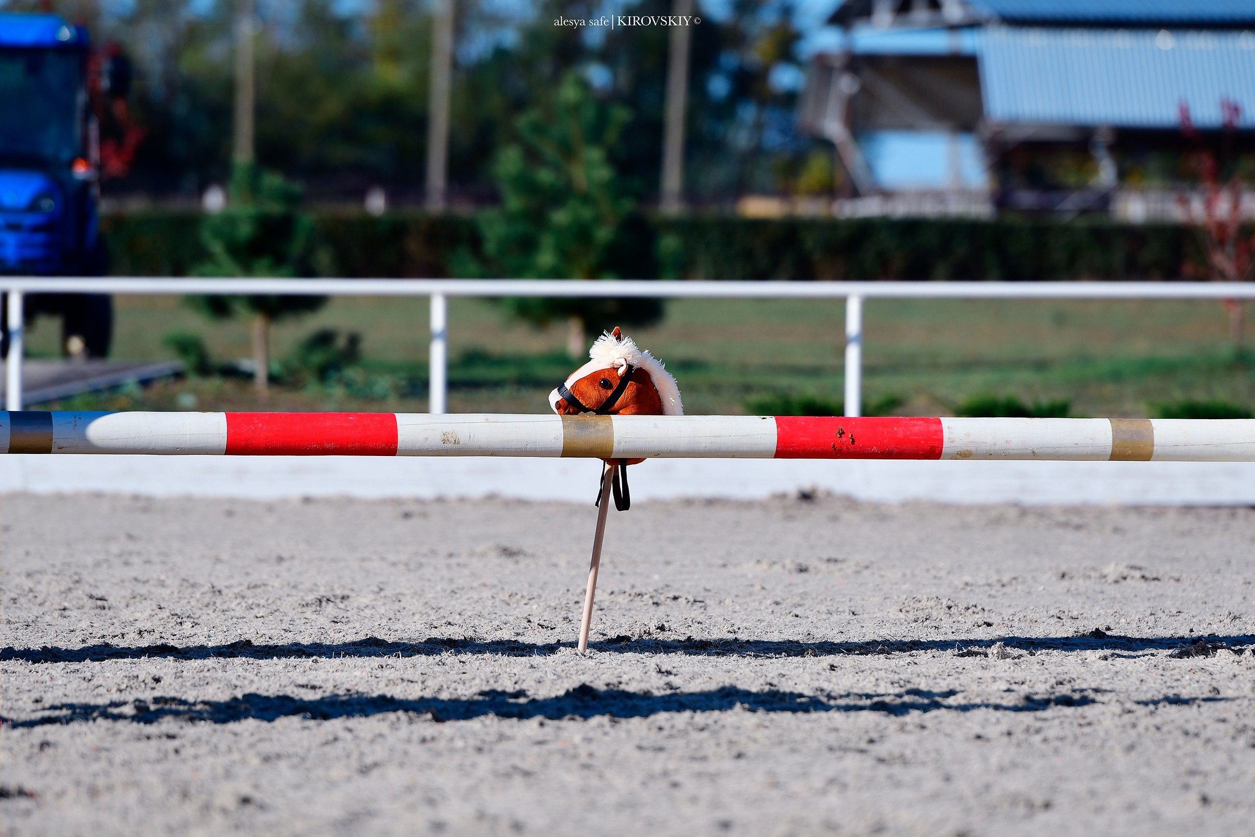 Кировский конный завод. Конный фотограф Alesya Safe
