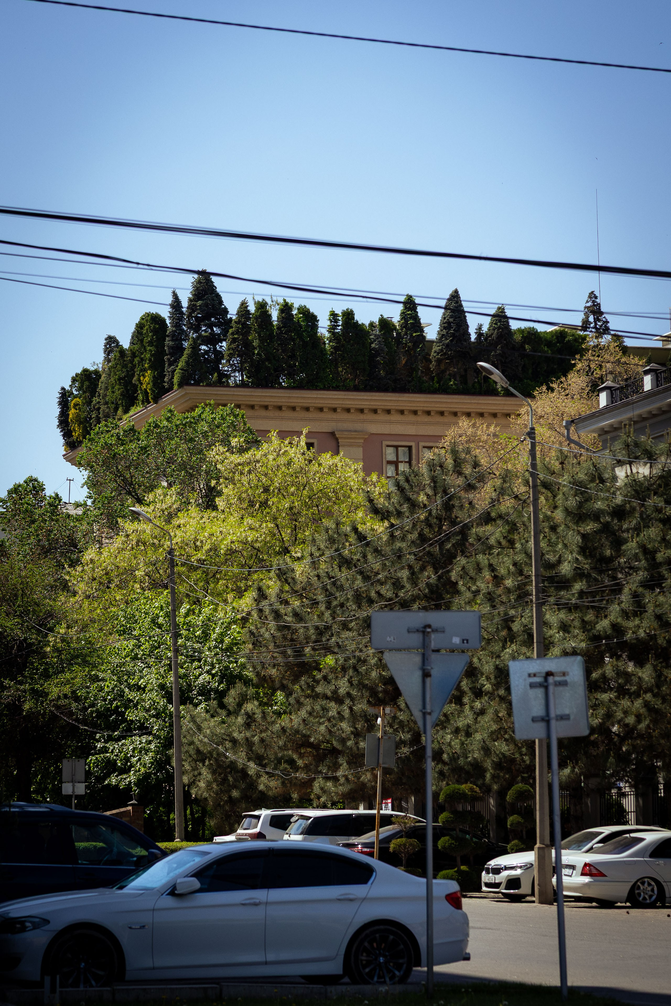 Кыргызстан (весна 2025). Фотограф Виноградов Константин