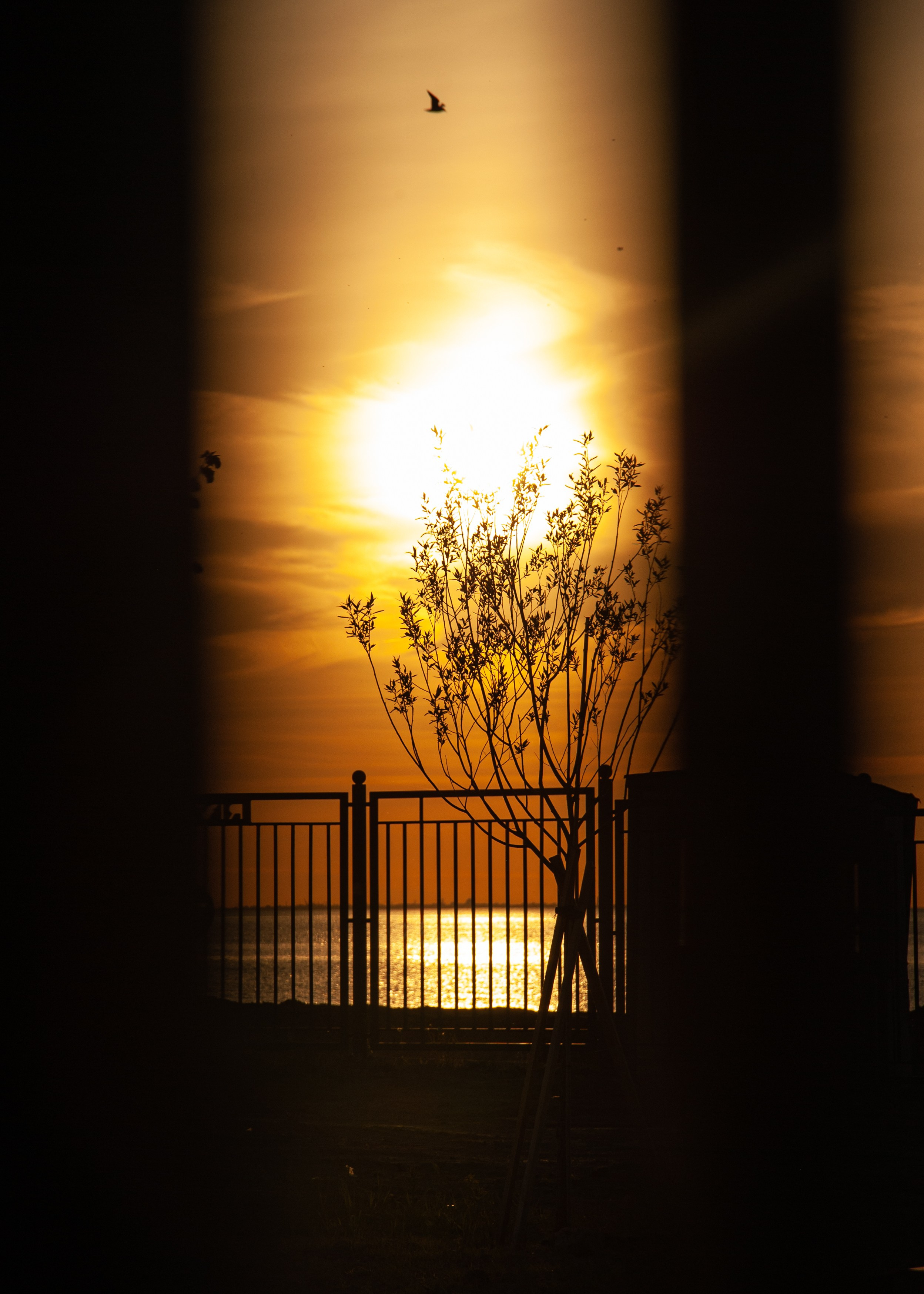 Закаты Питера. Портретный фотограф DanilNabody