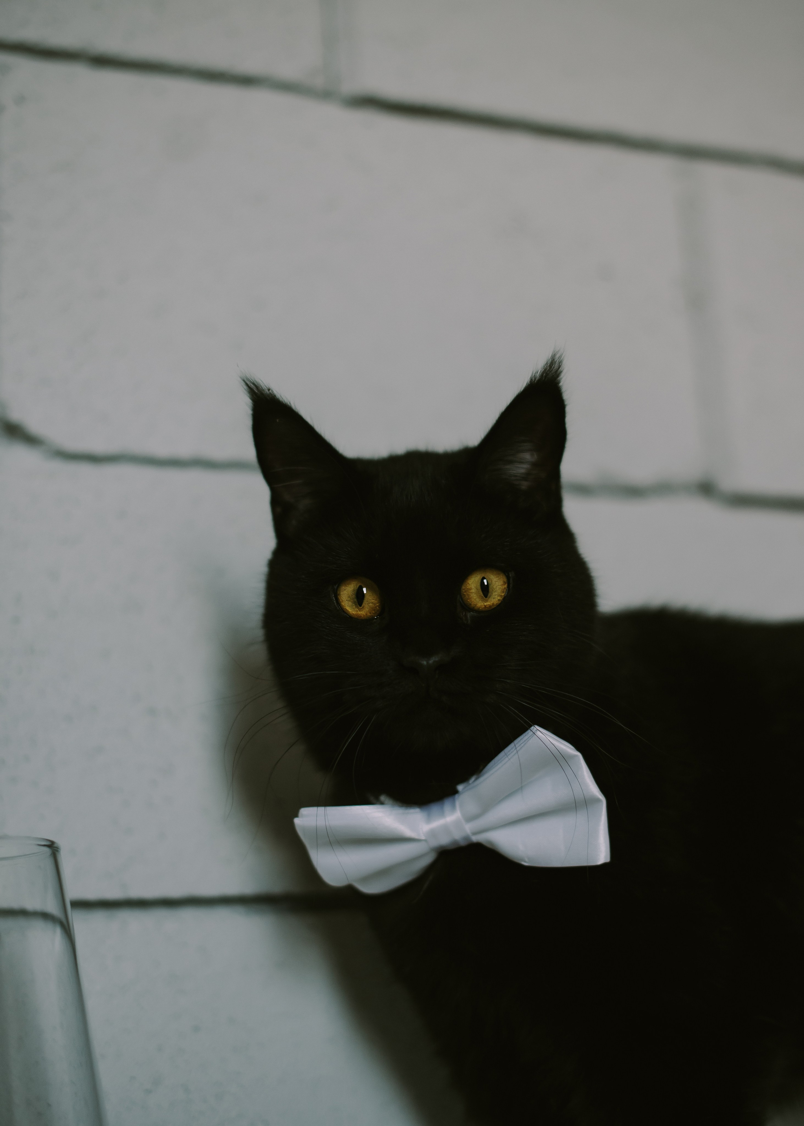 Вадим и Лера (Севастополь). Свадебный, женский, семейный фотограф в Севастополе Юлия Мошенко