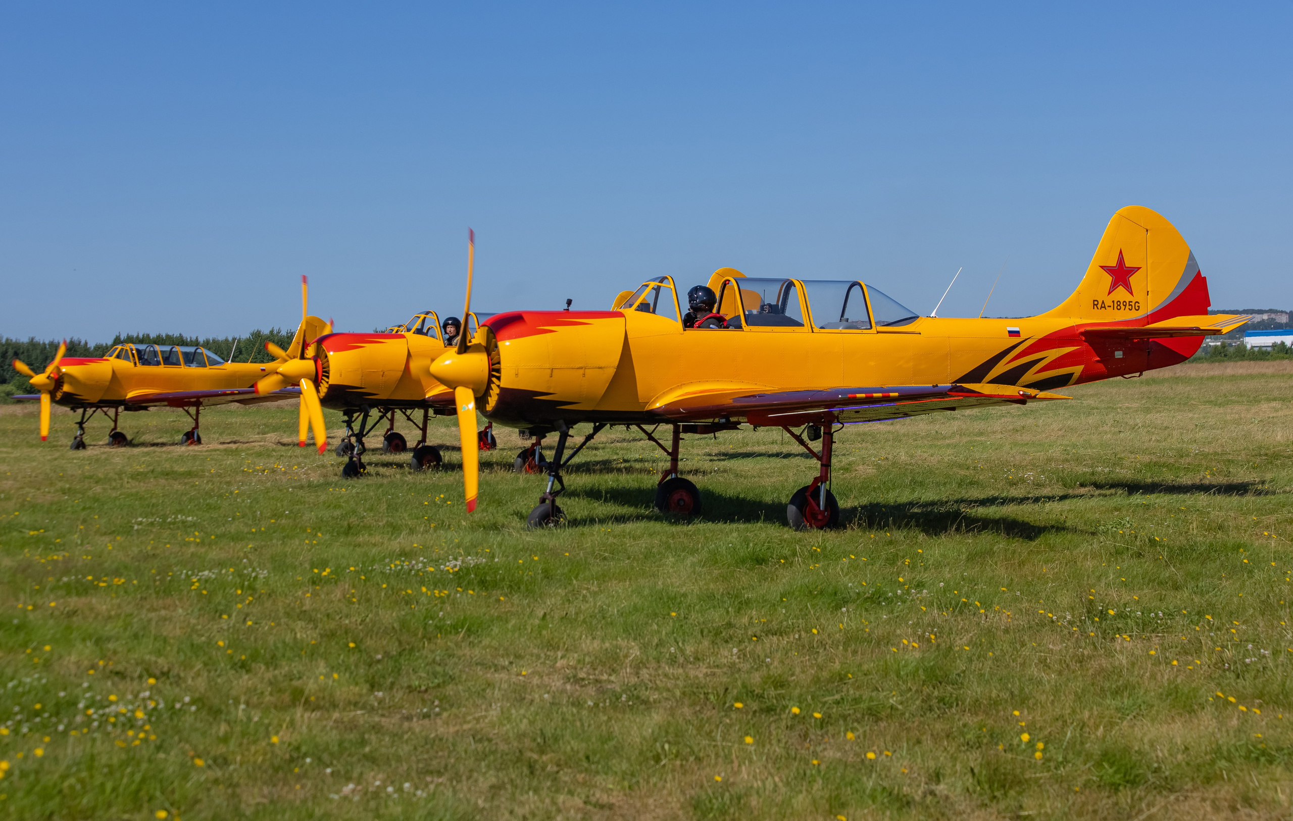 Крылья Пармы 2025 г. KATERINA VINOKUROVA ФОТОГРАФ ПЕРМЬ