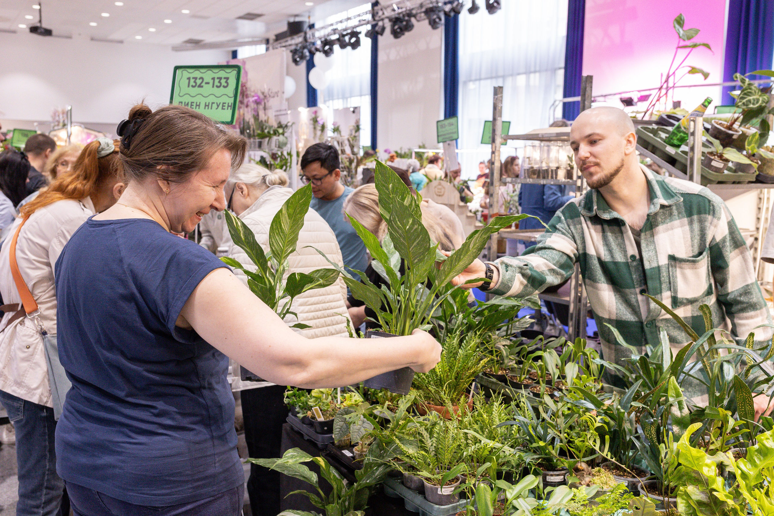 Орхидиум май 2025. Александра Куликова фотограф, Москва