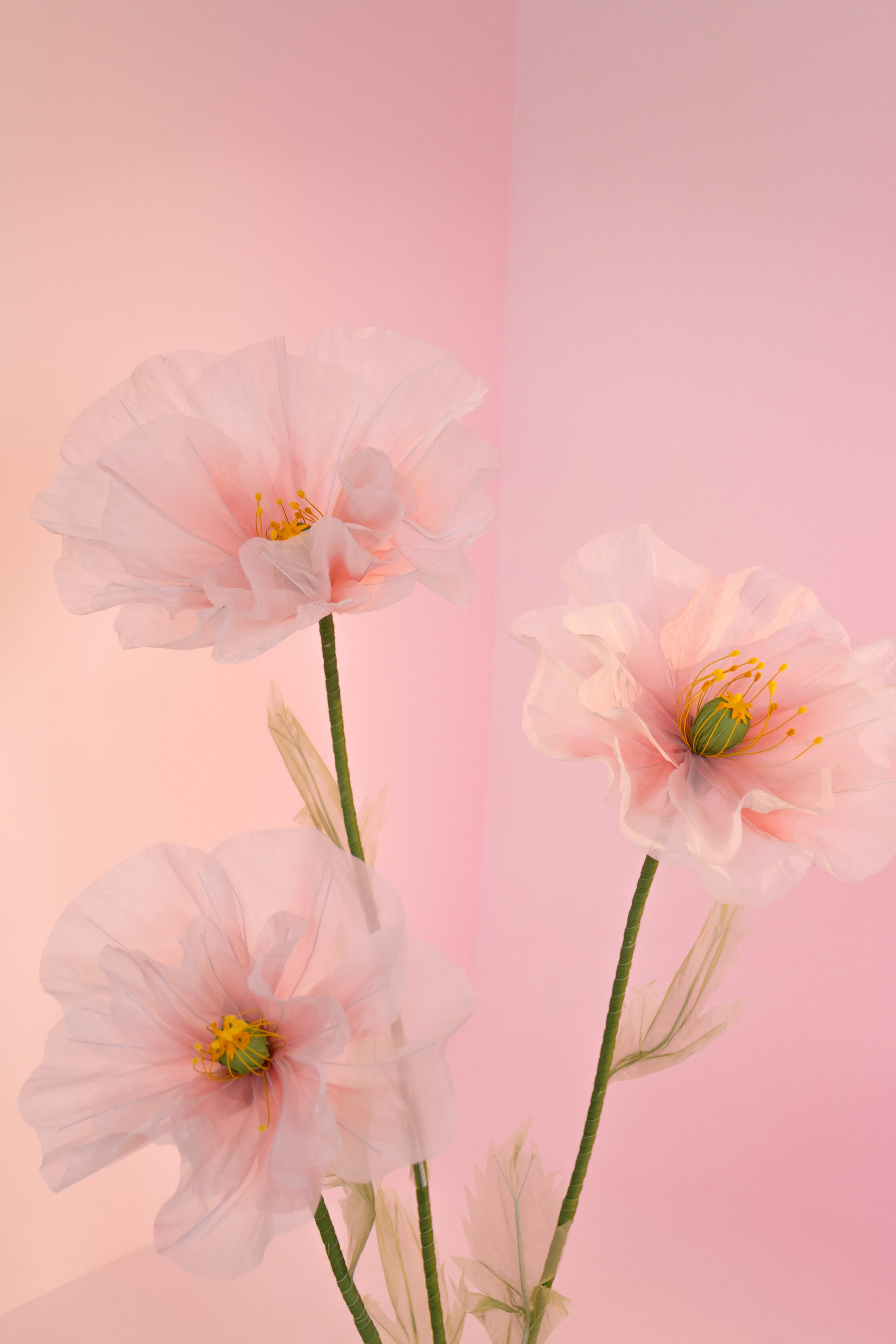 Цветочная фея. Фотограф в Москве Зябченко Екатерина. Съемки беременности, love story, семейный, портреты в студии и на улице