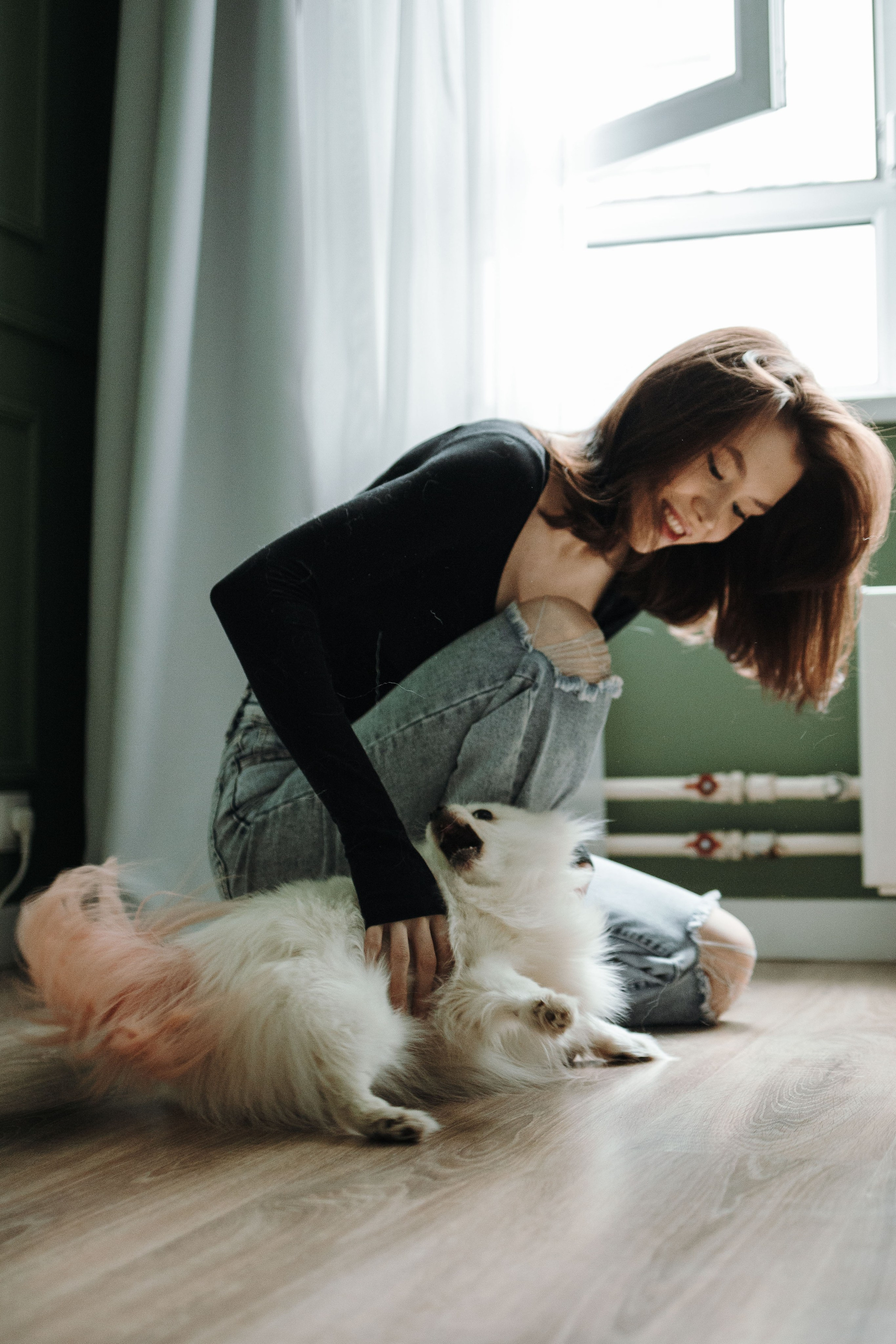 Шпиц Мася и ее семья