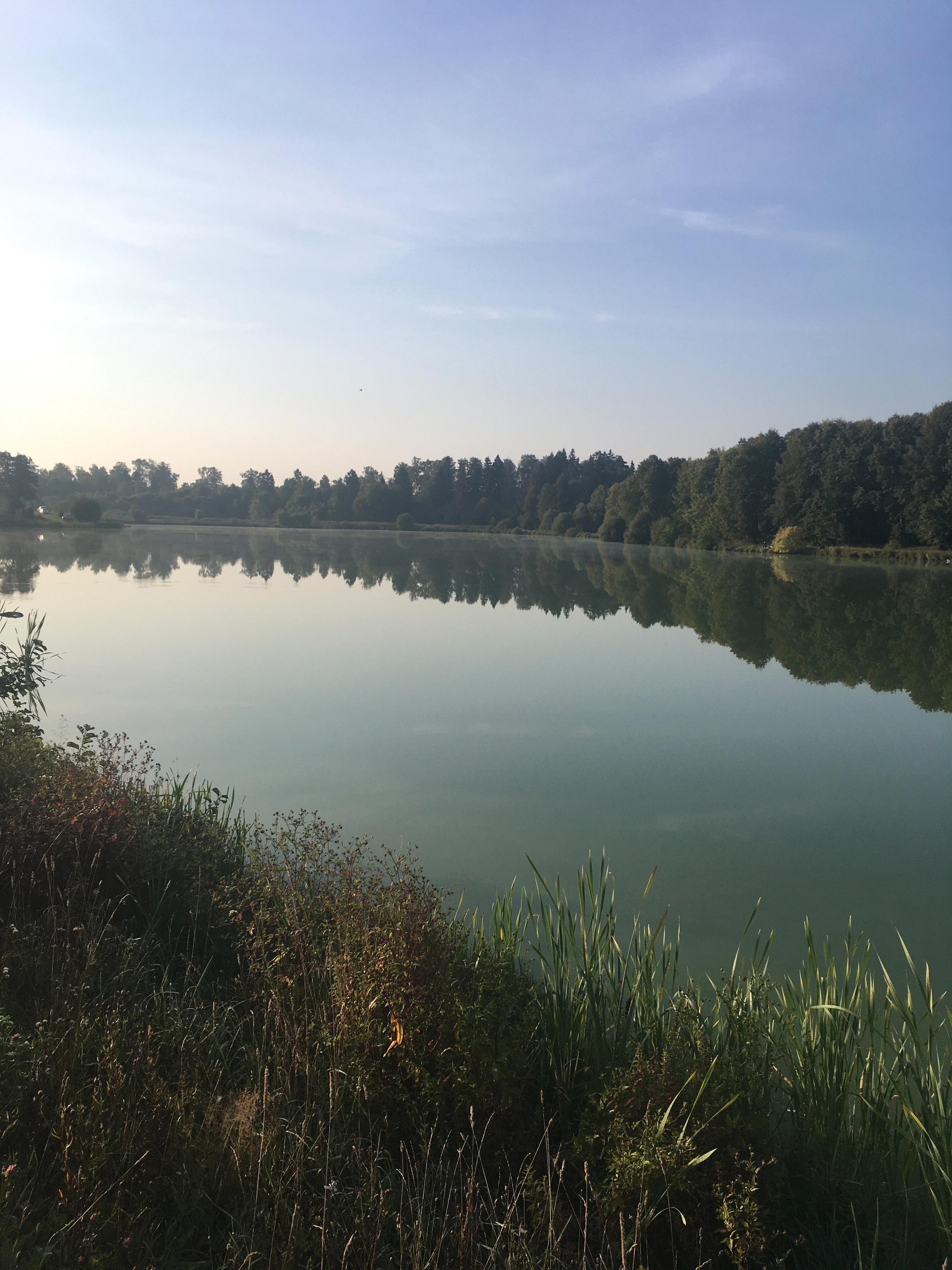 Молоди-19. Своя Мастерская