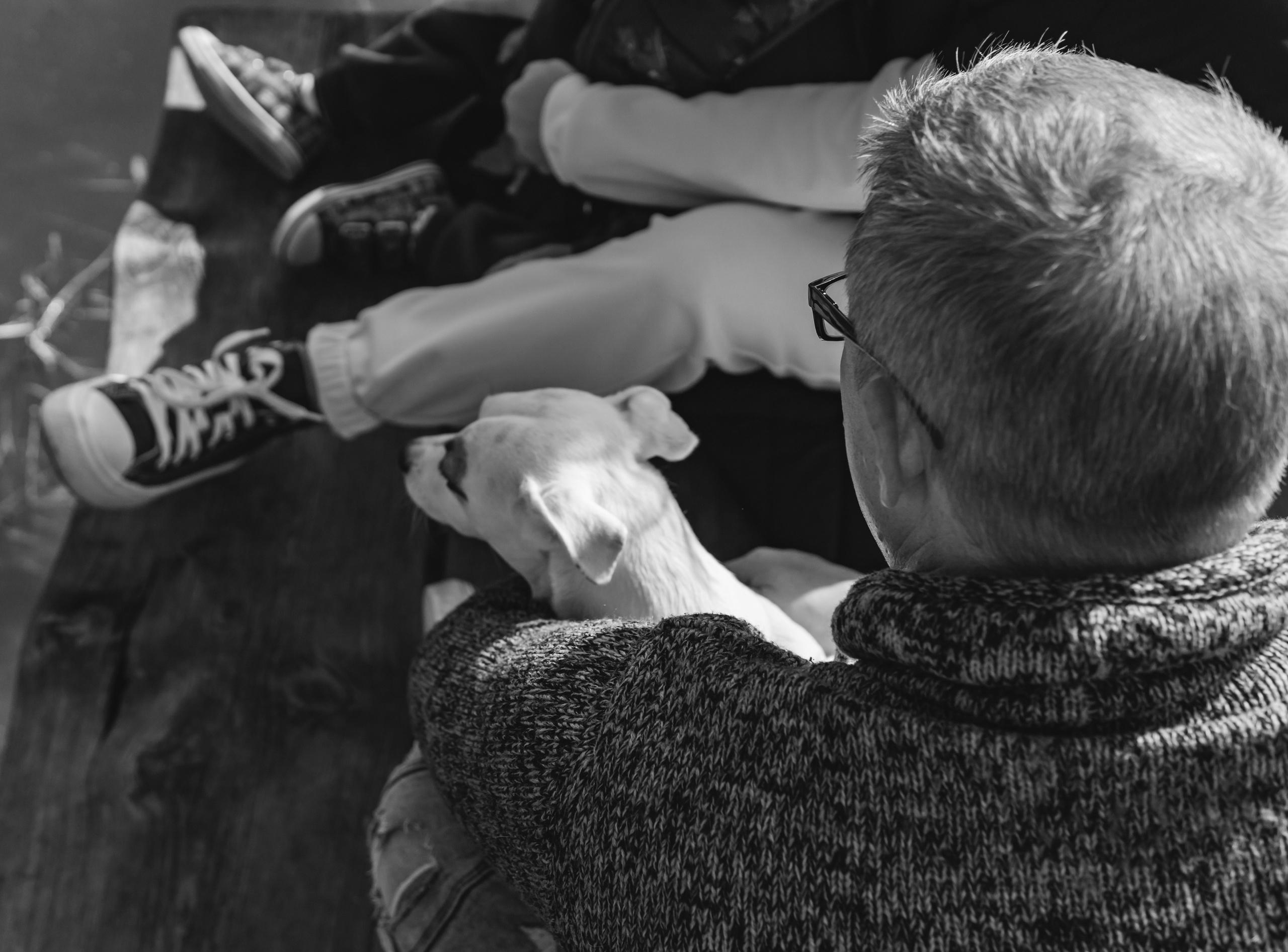 Таня, Дима, Амелия, Демид, Харлей. Фотограф в Москве Юлия Першина