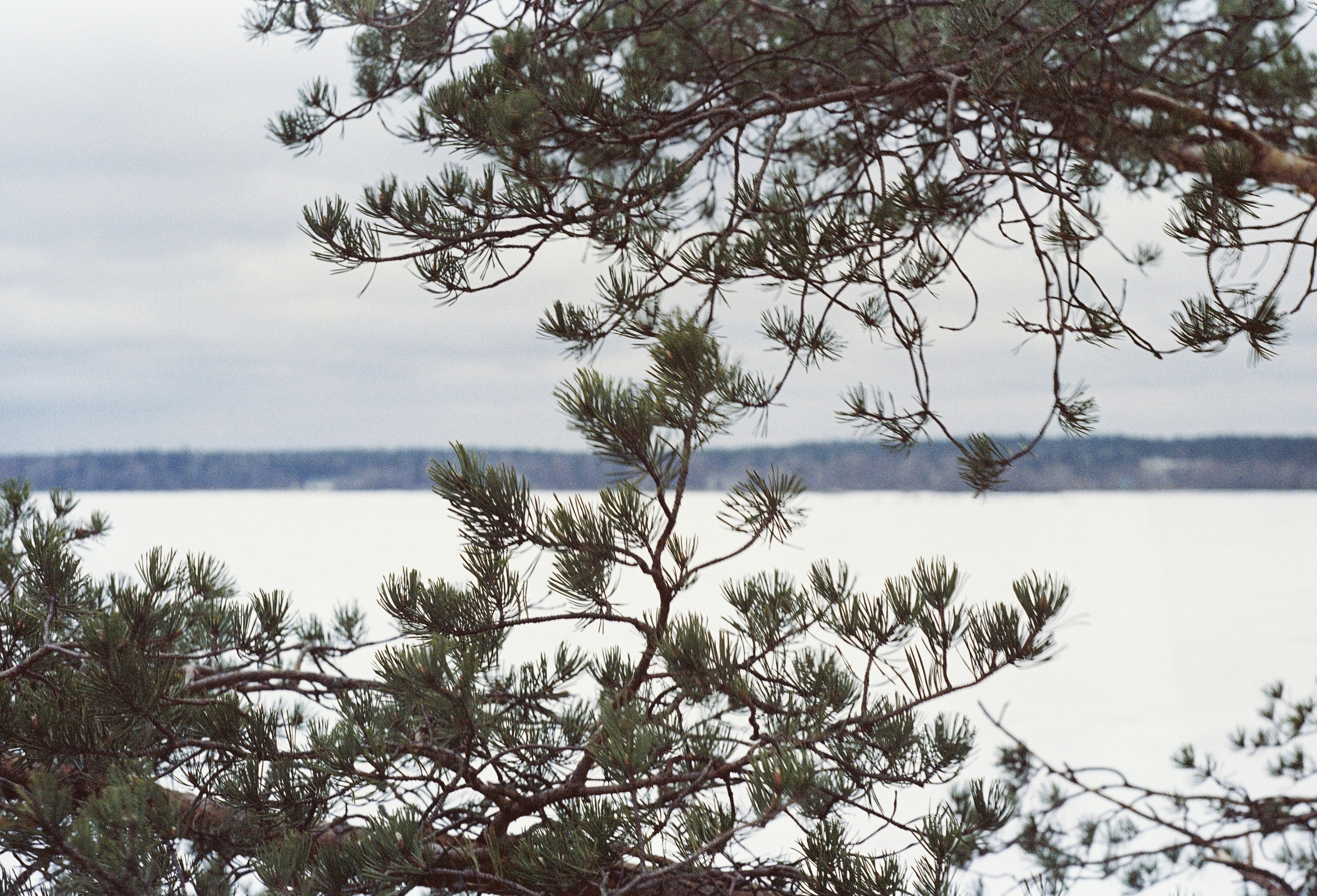 Съёмка на цветную фотопленку. Фотограф в Санкт-Петербурге и Москве Наталья Милли