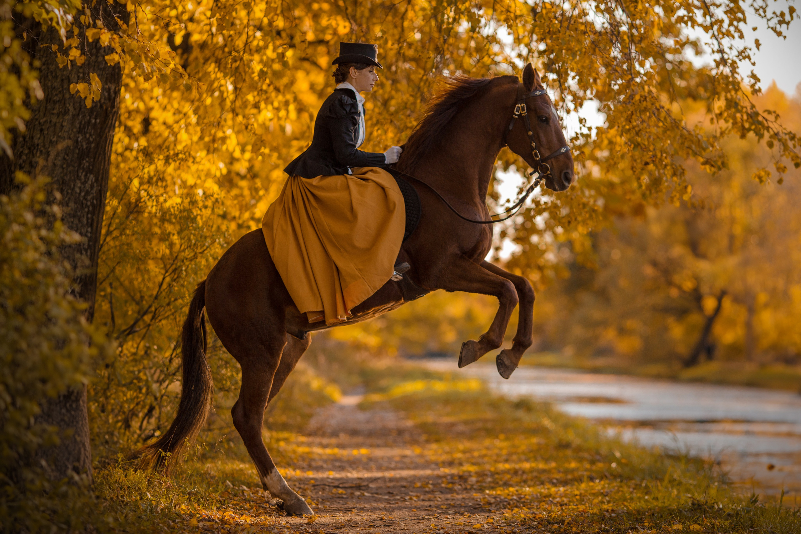 Фотосессия в историческом стиле с борзыми
