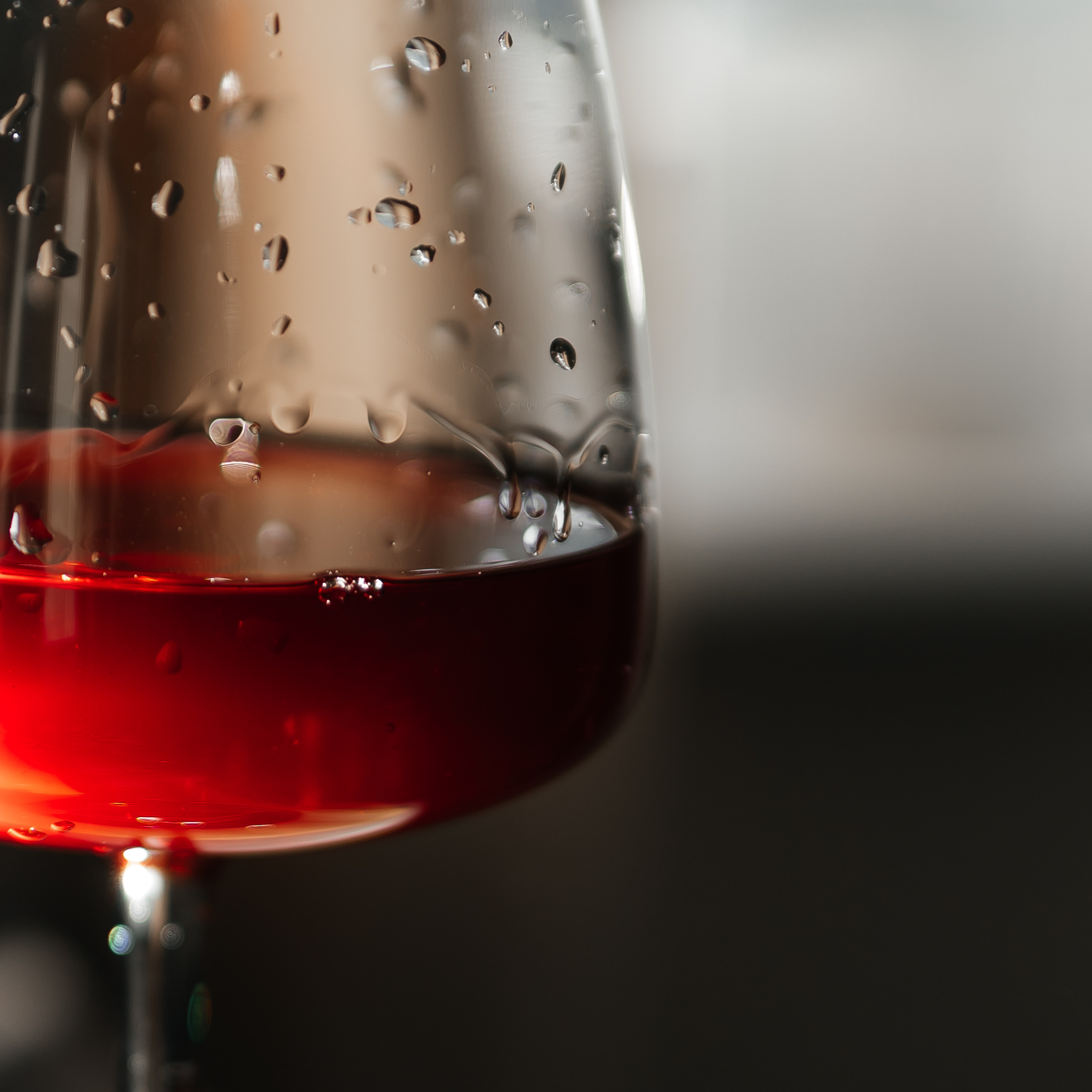 Wine & Cheese. Фотограф в Омске Валерия Крячко