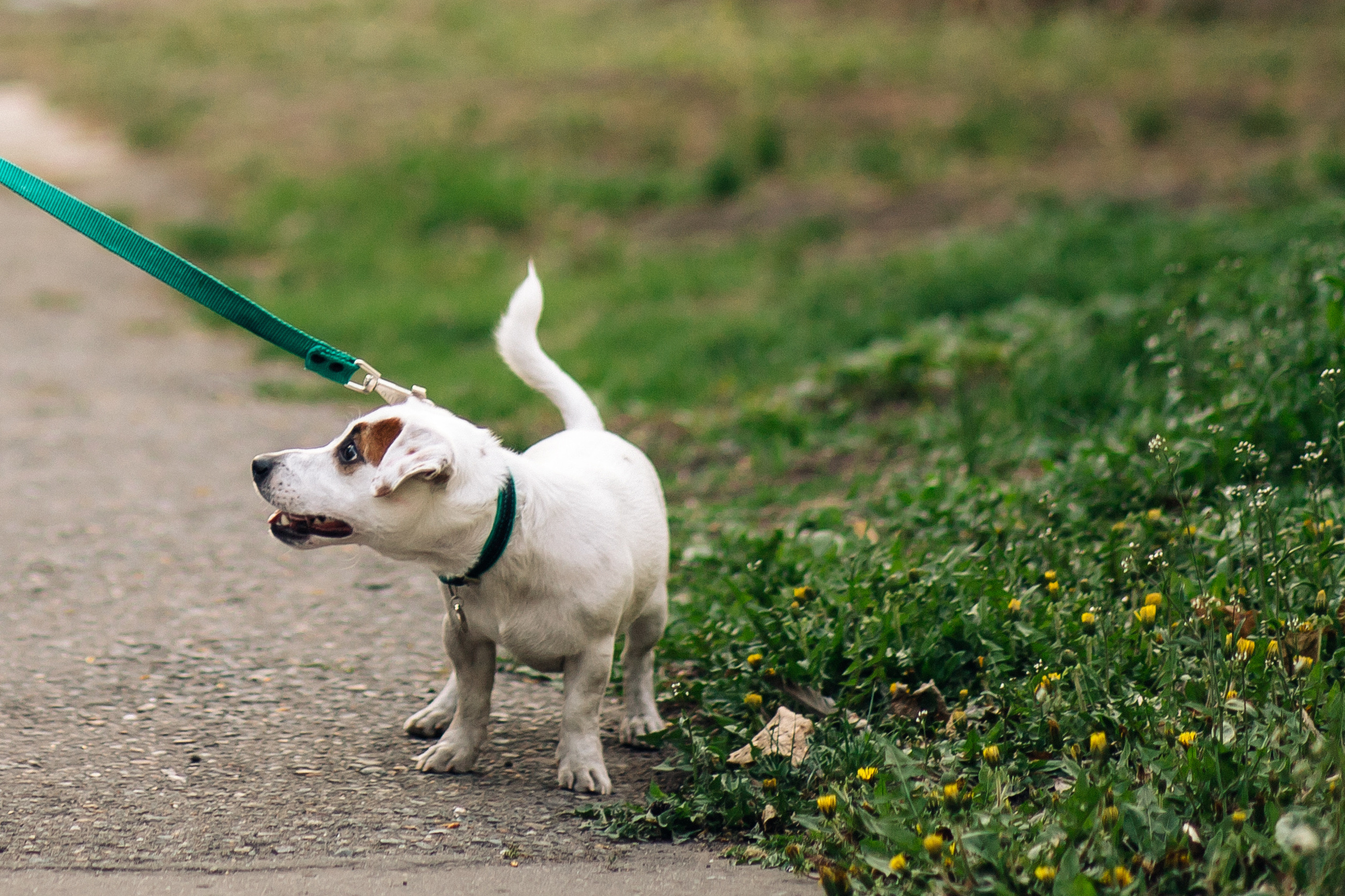 Кристина. Фотограф в Омске Валерия Крячко