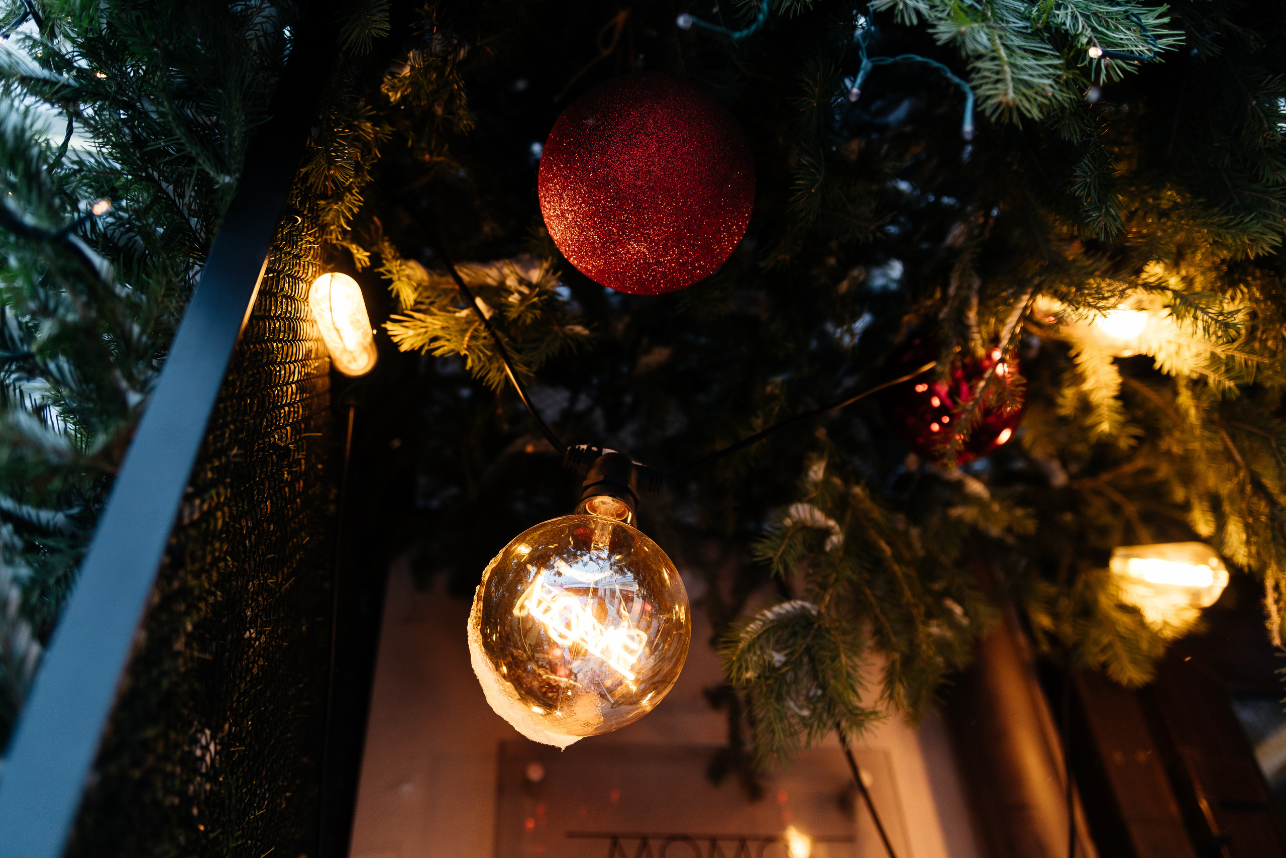 Milota.nya & Terra. Фотограф в Омске Валерия Крячко