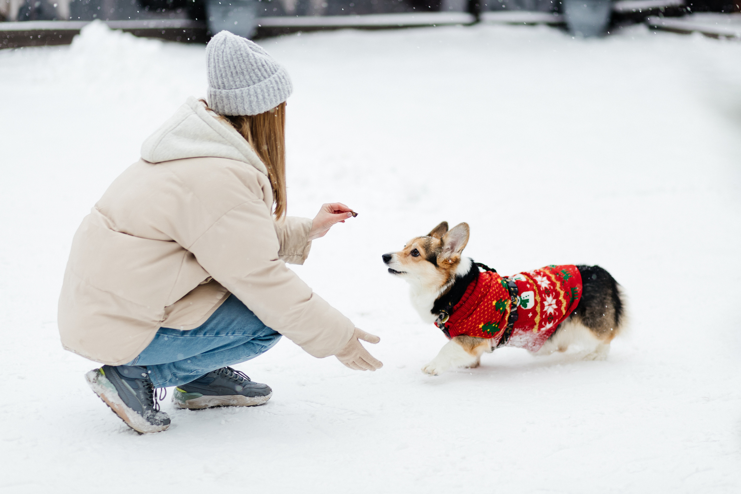 Milota.nya & Terra. Фотограф в Омске Валерия Крячко