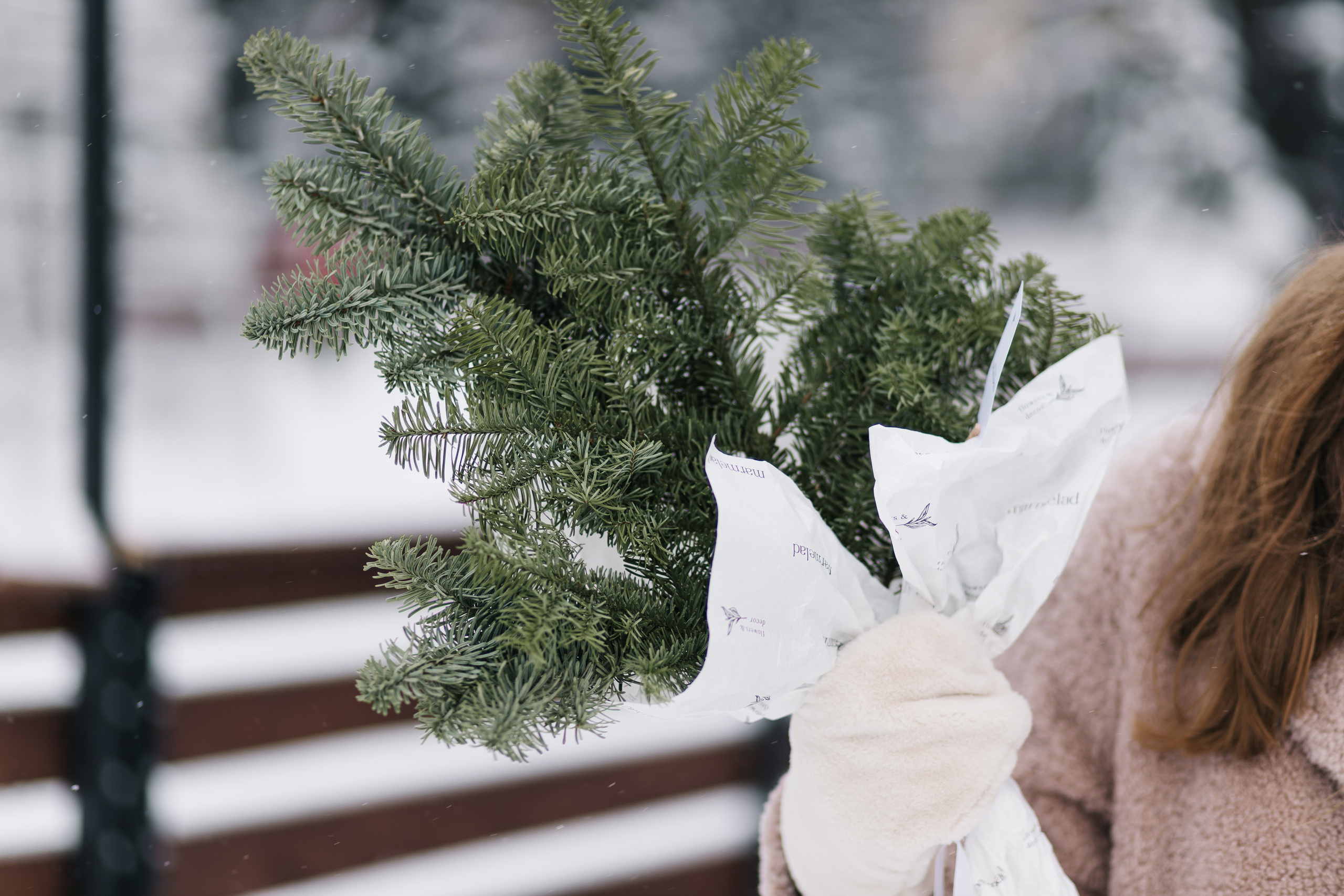 София и Егор. Фотограф в Омске Валерия Крячко