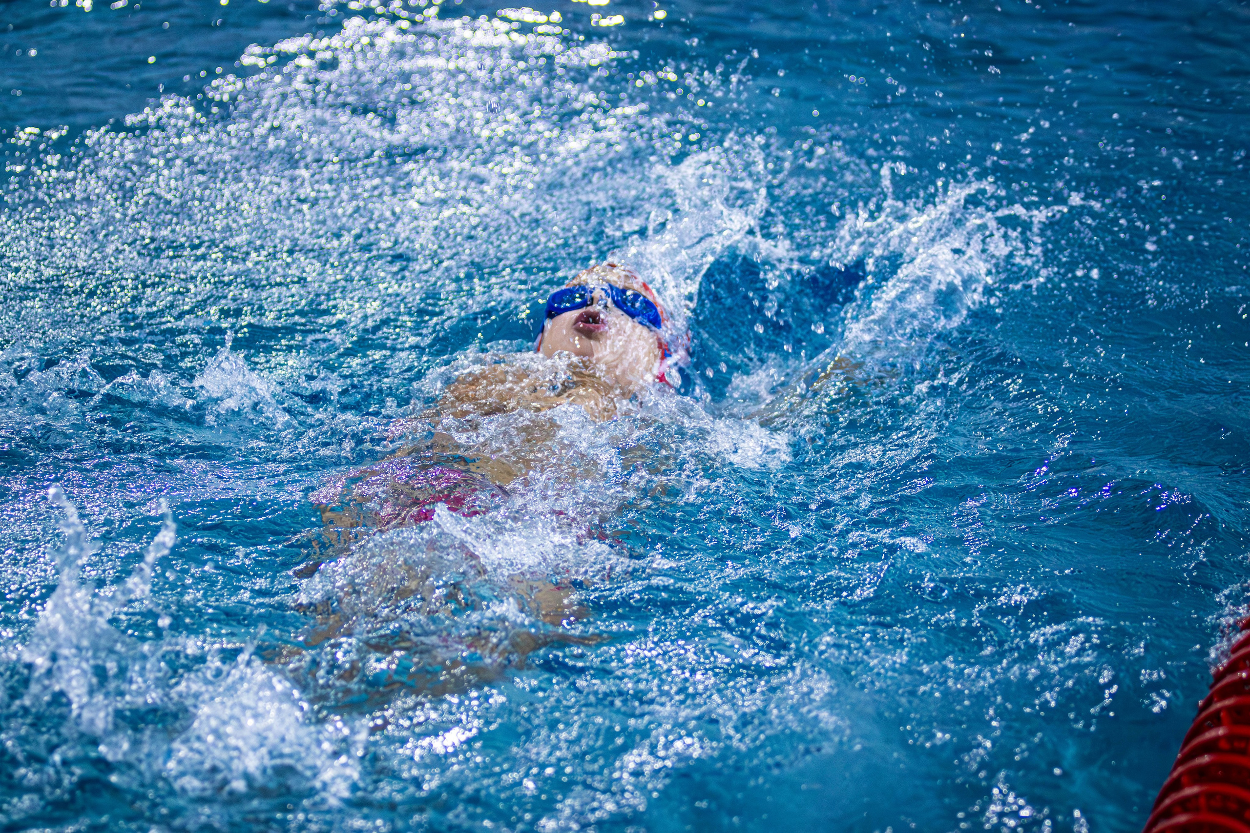 Фотосессия соревнований по плаванию в Пушкино Московской области