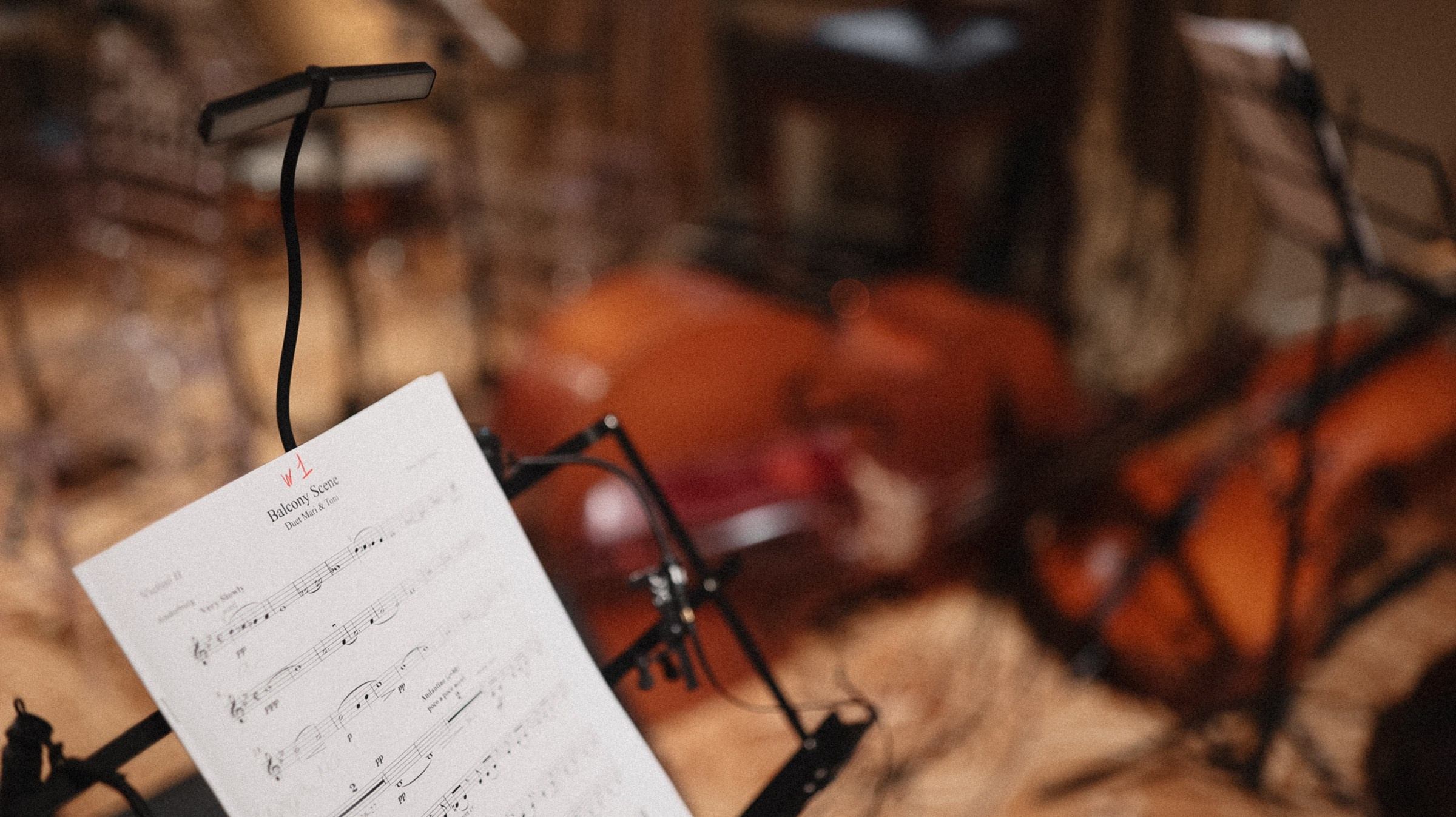 GREY CHIC. Свадебный и семейный фотограф Москва, Спб, Крым Игорь Сазонов