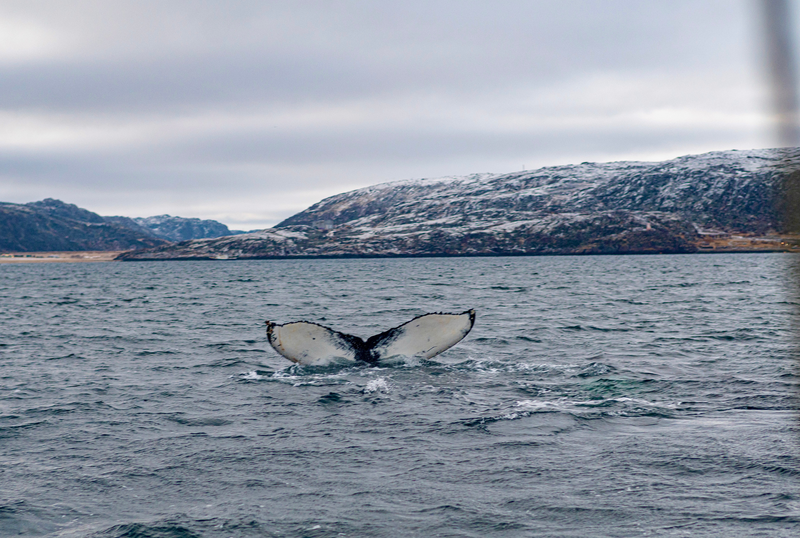 Море про. Семейный  и свадебный фотограф в Мурманске Мария Шепелева