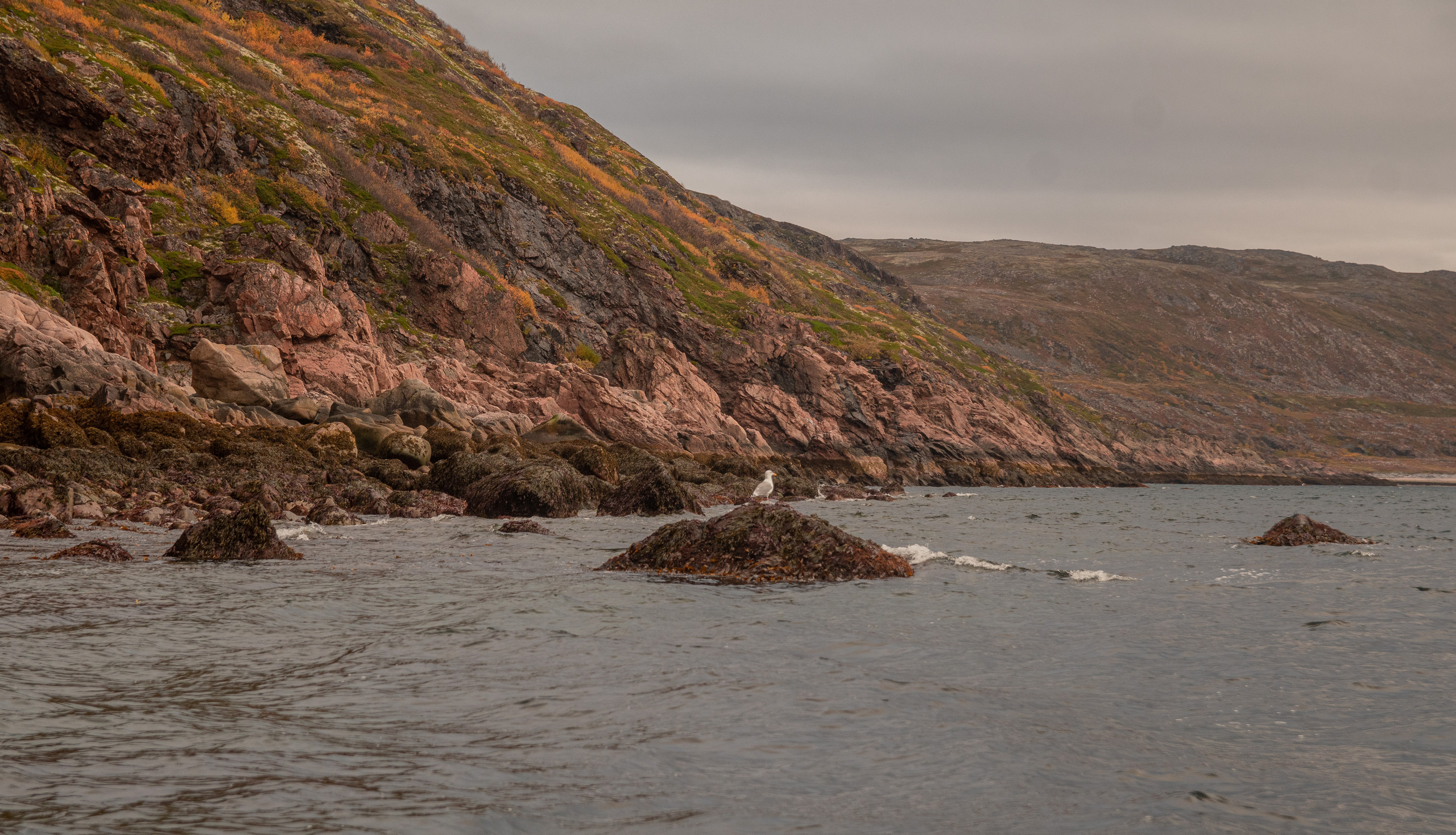Море про. Семейный  и свадебный фотограф в Мурманске Мария Шепелева