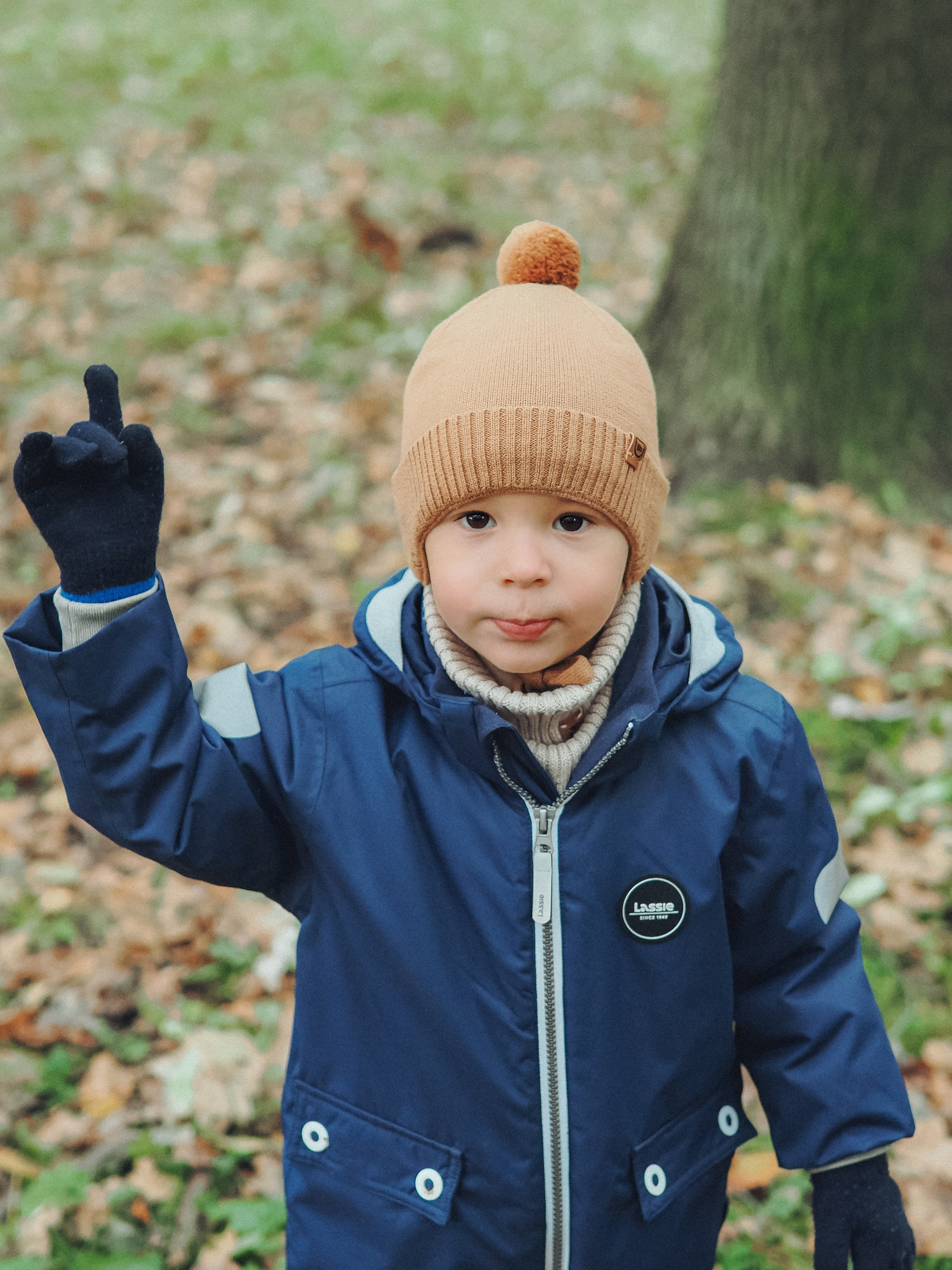 В поисках белки). Фотограф в Москве — Сергей Люкшинов