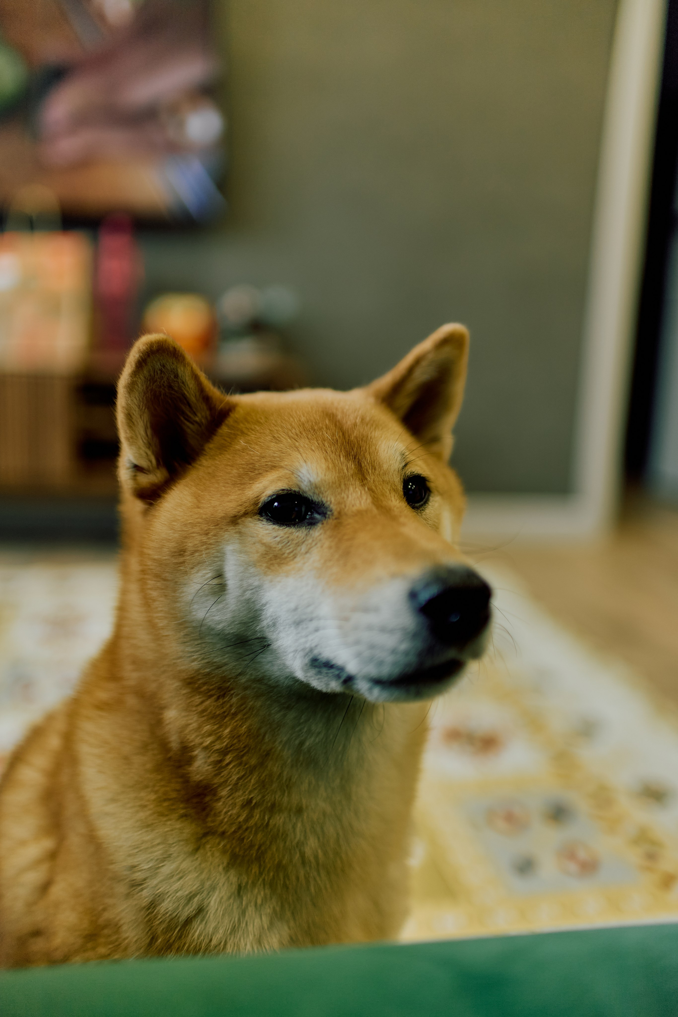 Tanya & Kurama. Свадебный фотограф Москва и ЮГ