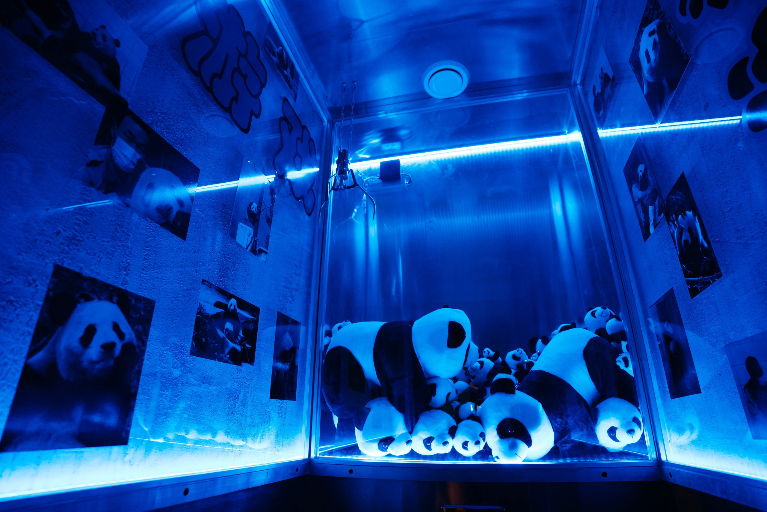 Интерьерная съемка для китайского ресторана «ЧИХО». Видеограф и Фотограф в Челябинске Ксения и Владимир Рюмины