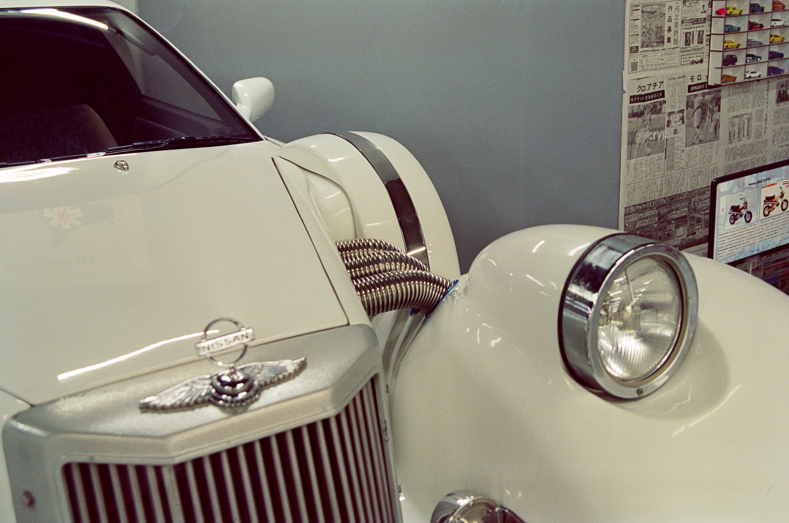 #05пленка. Kodak Vision 3 500T. Minolta Dynax 5. 28-80. Фотограф Наталья Вершинина