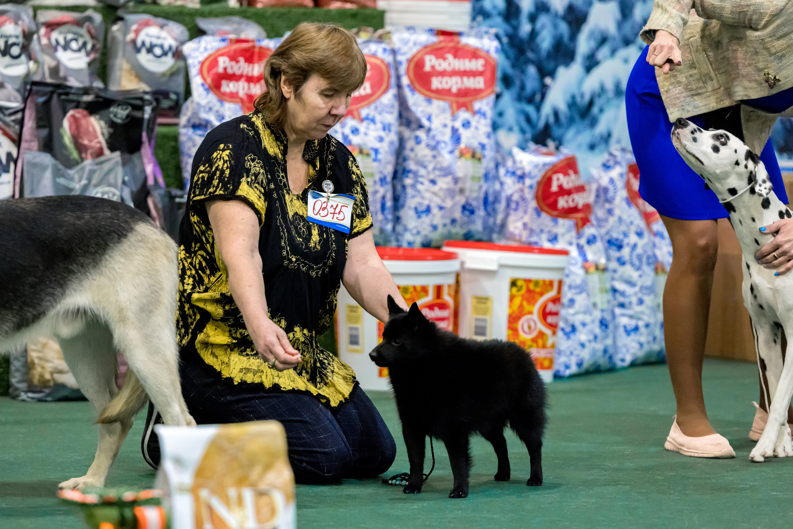 Крокус 3,9 и 10.12.2023. Фотограф-анималист Юлия Германика