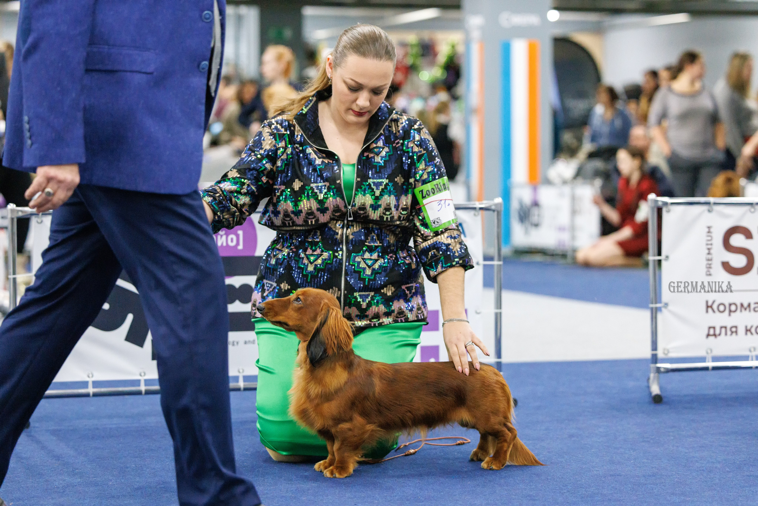 Крокус 10.02,Сфера 11.02.2024. Фотограф-анималист Юлия Германика