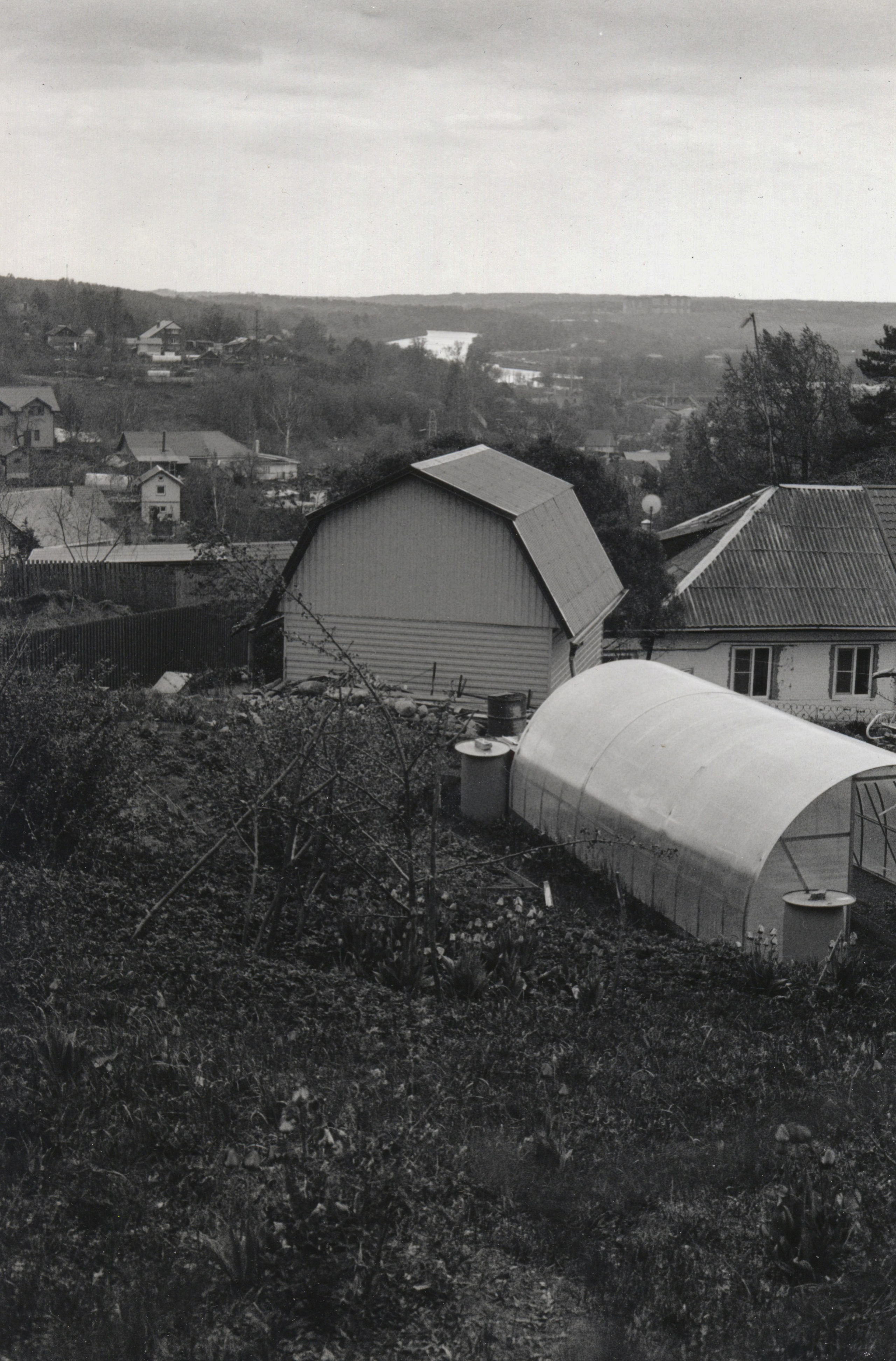 Prints. Maria Abdullaeva