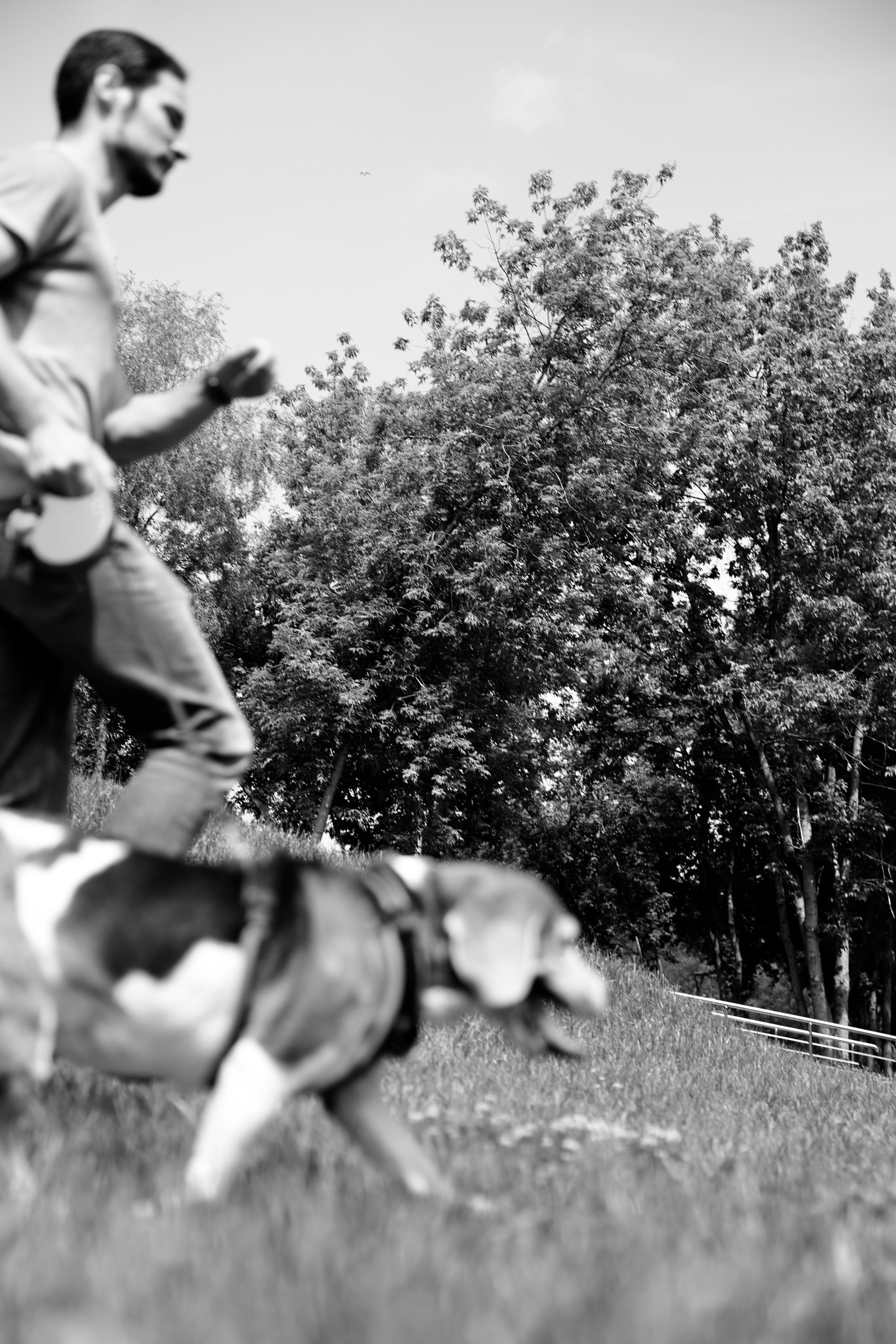 Семейная съемка. Фотограф Шурыгина Эльвира Москва