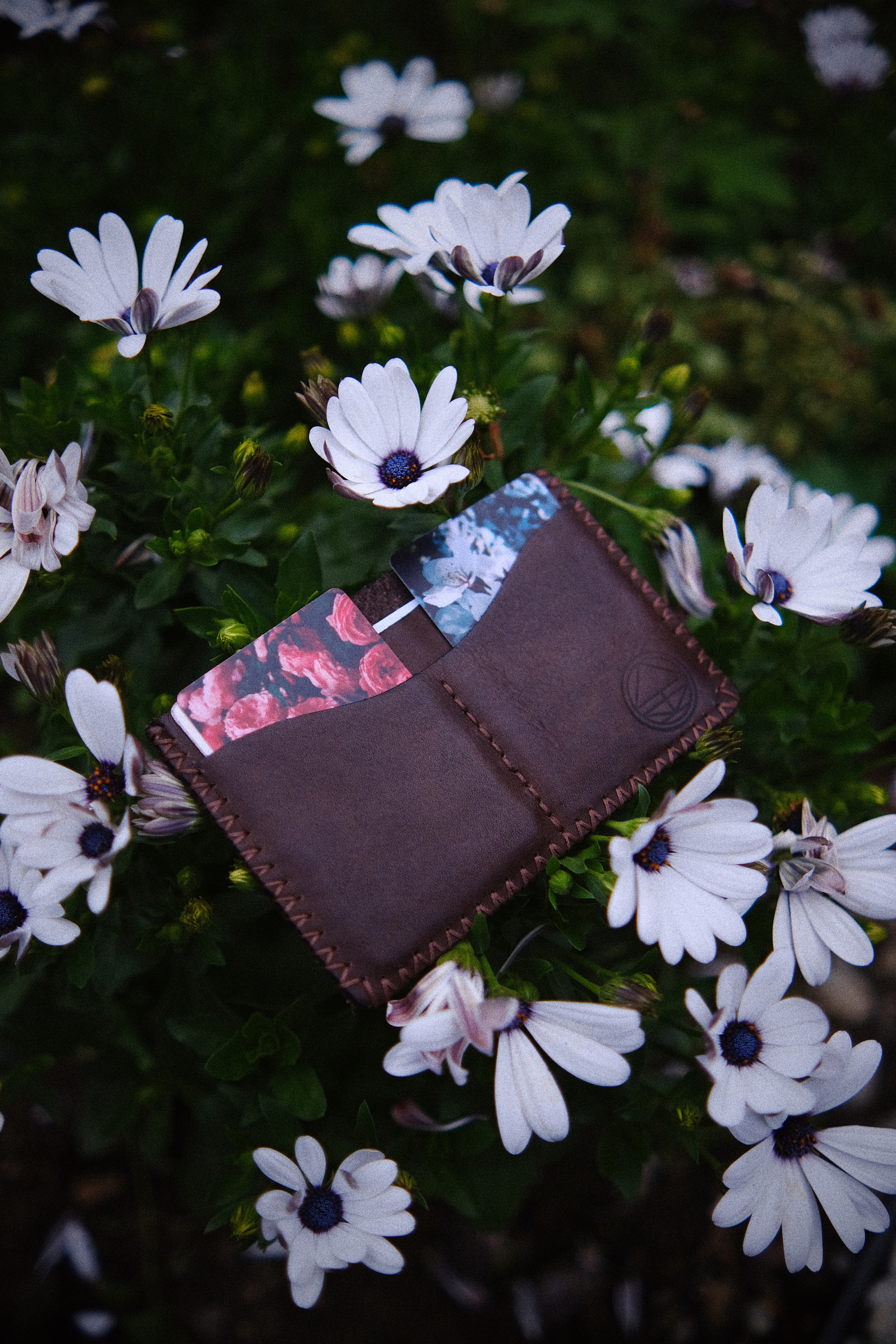 Докхолдеры