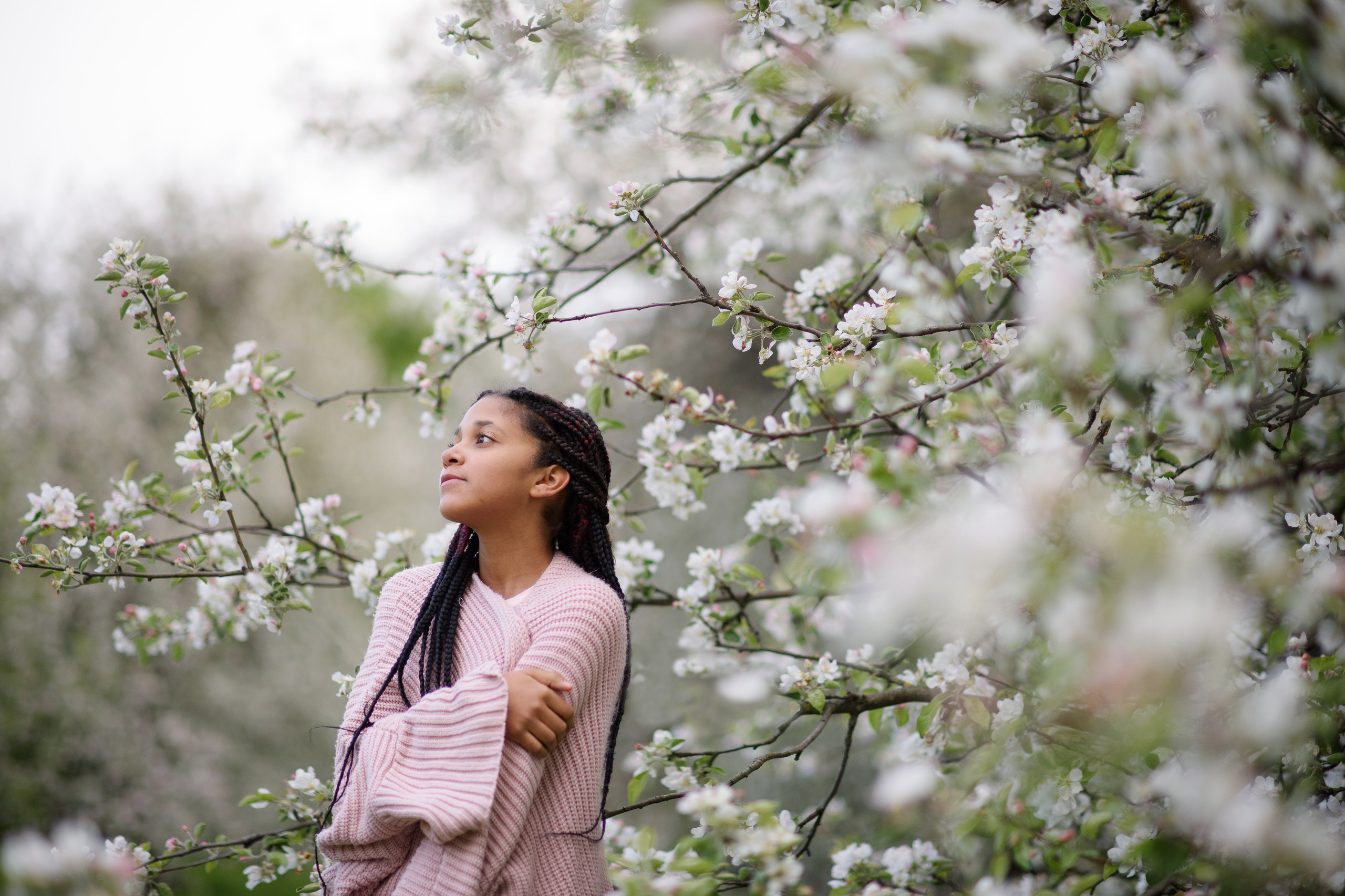 Яблони в Коломенском. Ясмина. Главная