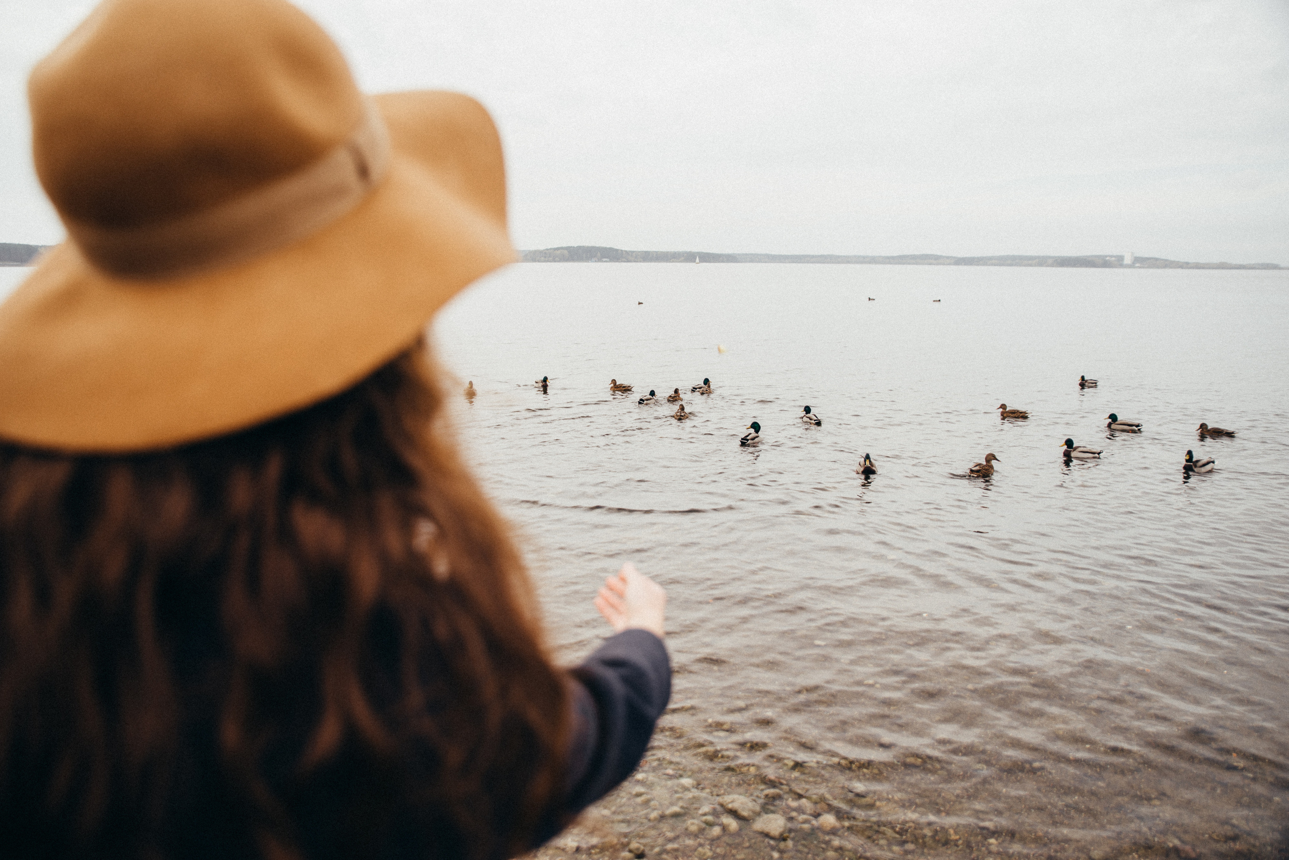 Леша и Катя. Свадебный фотограф Минск