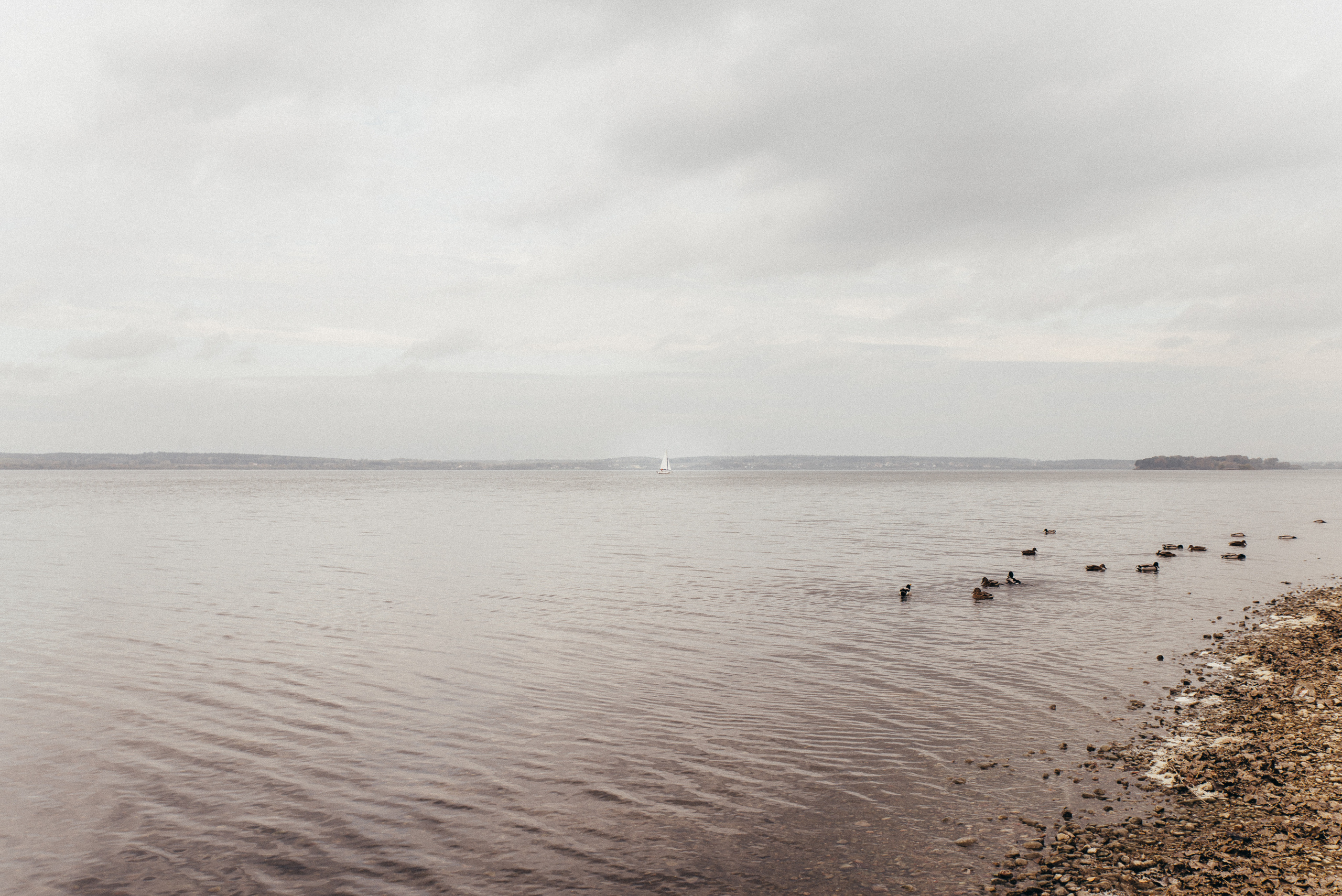 Леша и Катя. Свадебный фотограф Минск