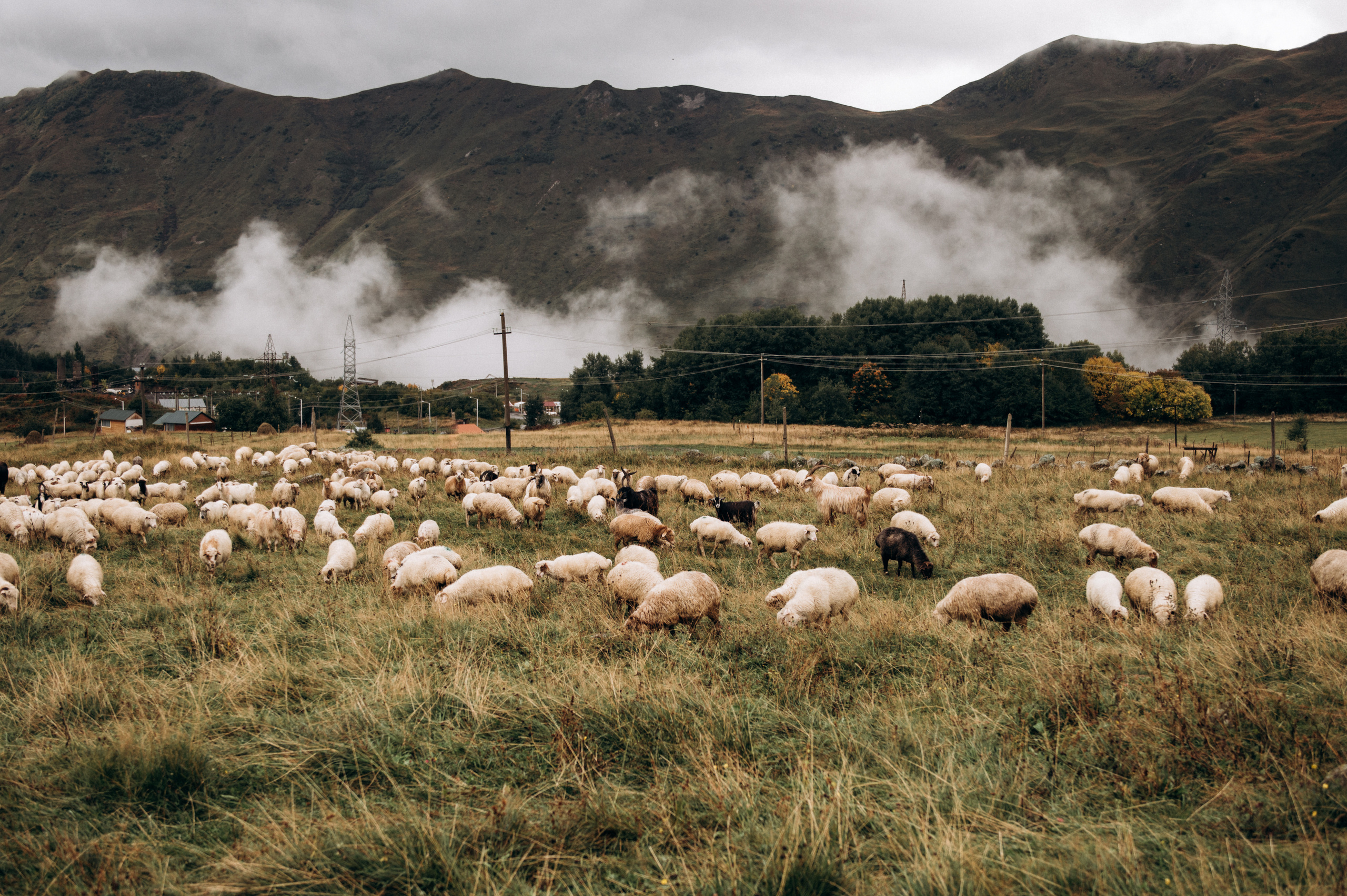 Вадим и Нася. Свадебный фотограф Минск