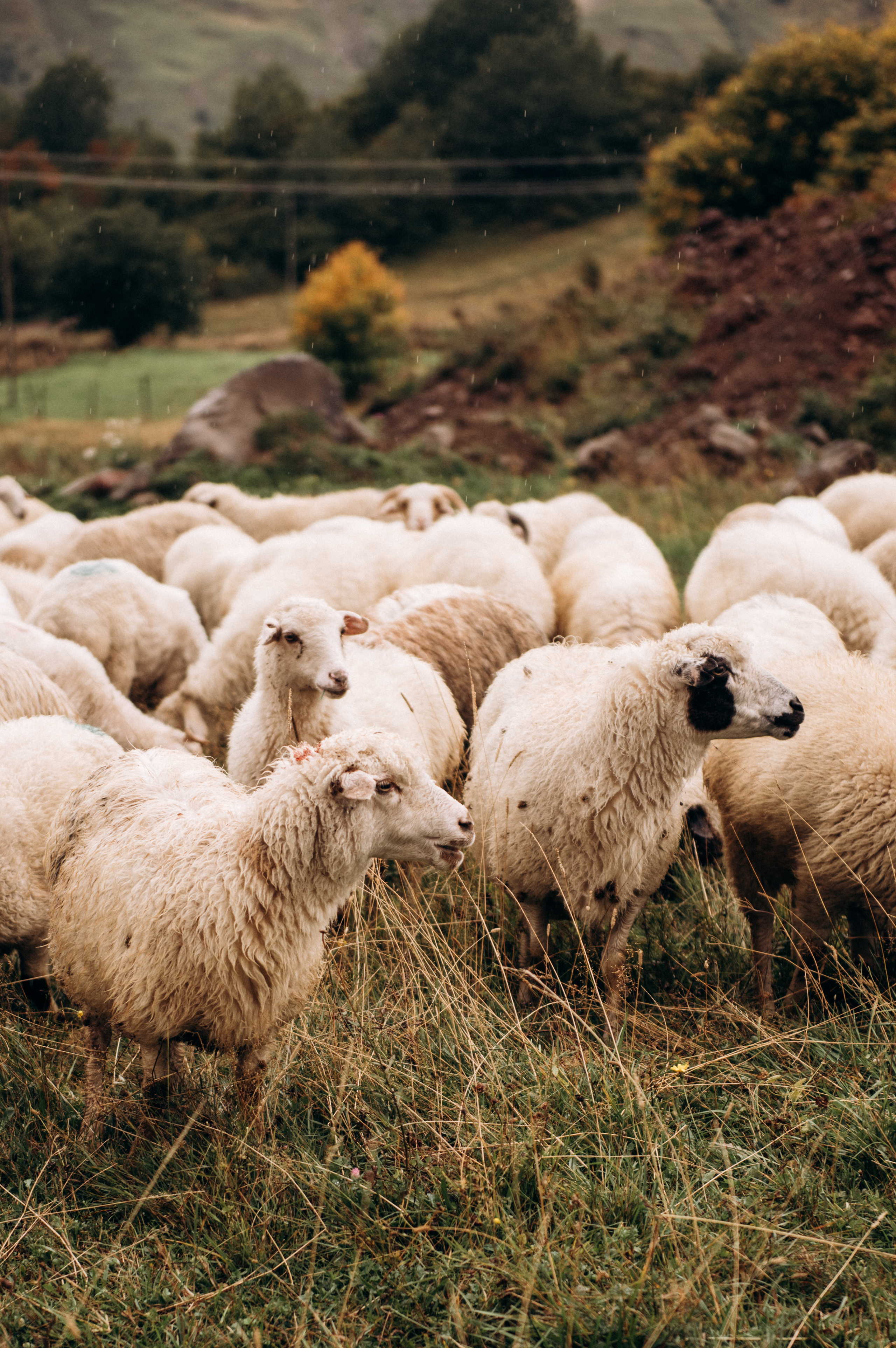 Вадим и Нася. Свадебный фотограф Минск