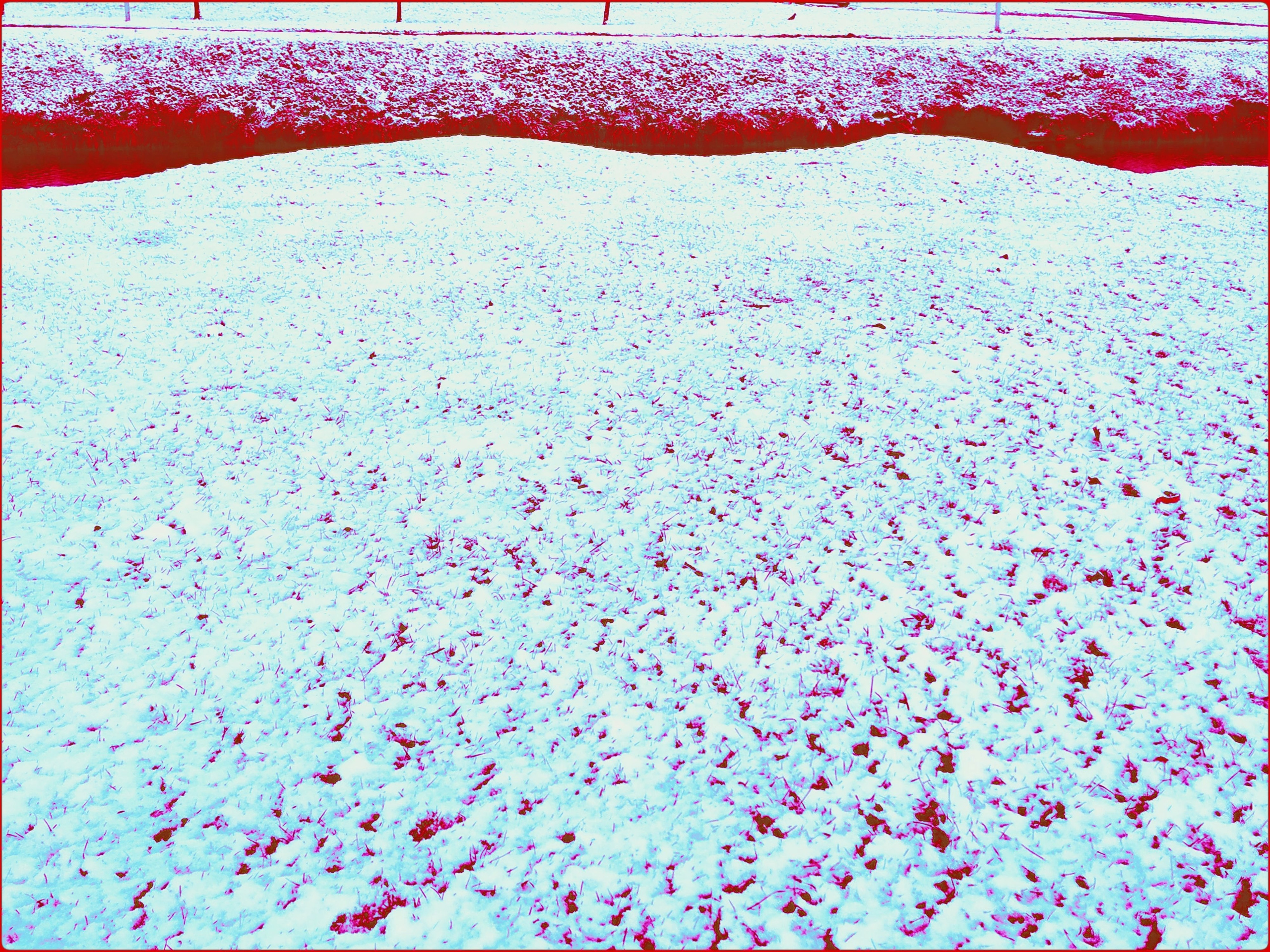 Malamoonki. Катерина Малама арт-фотограф