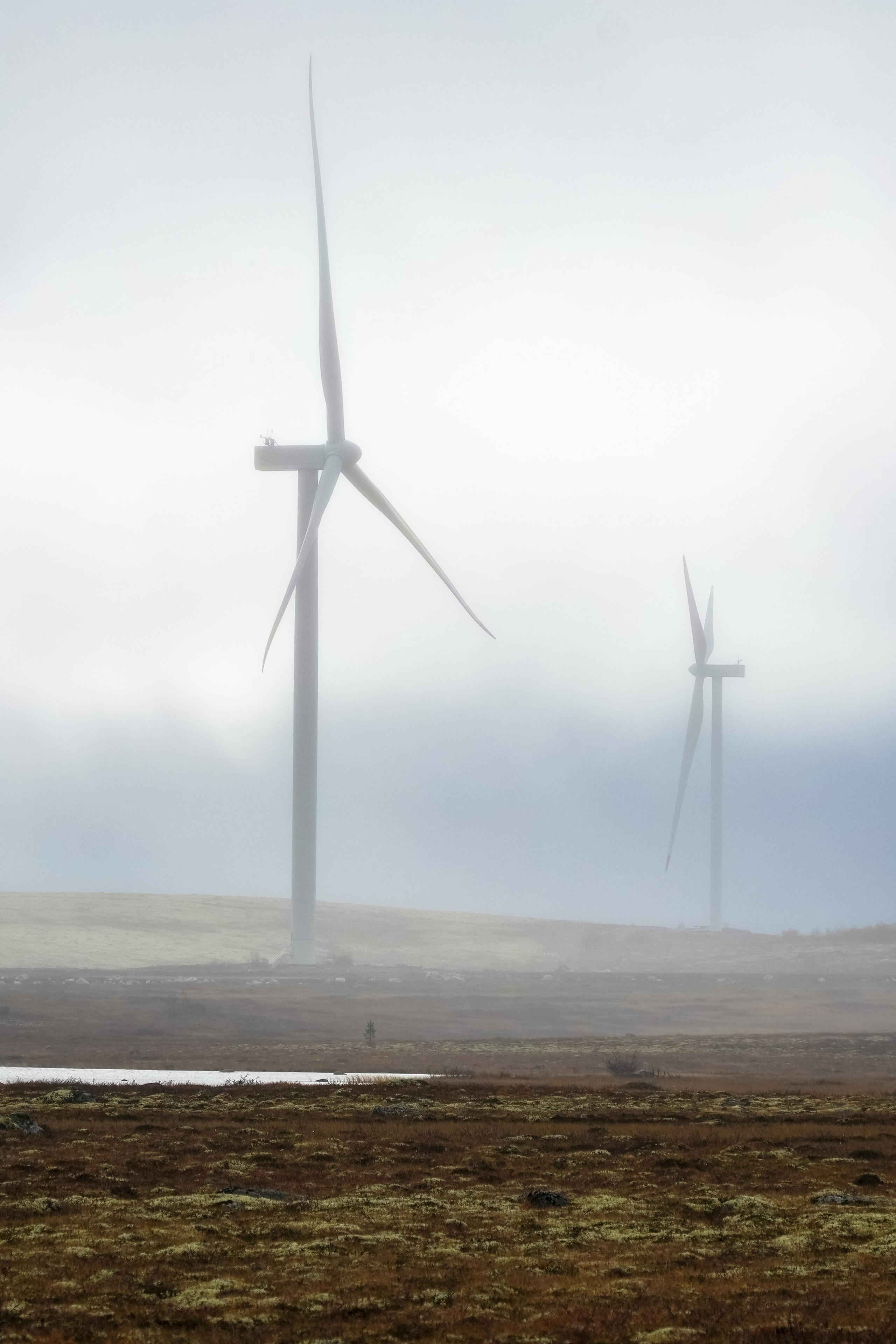 СЕВЕР. Event фотограф Степанова Александра