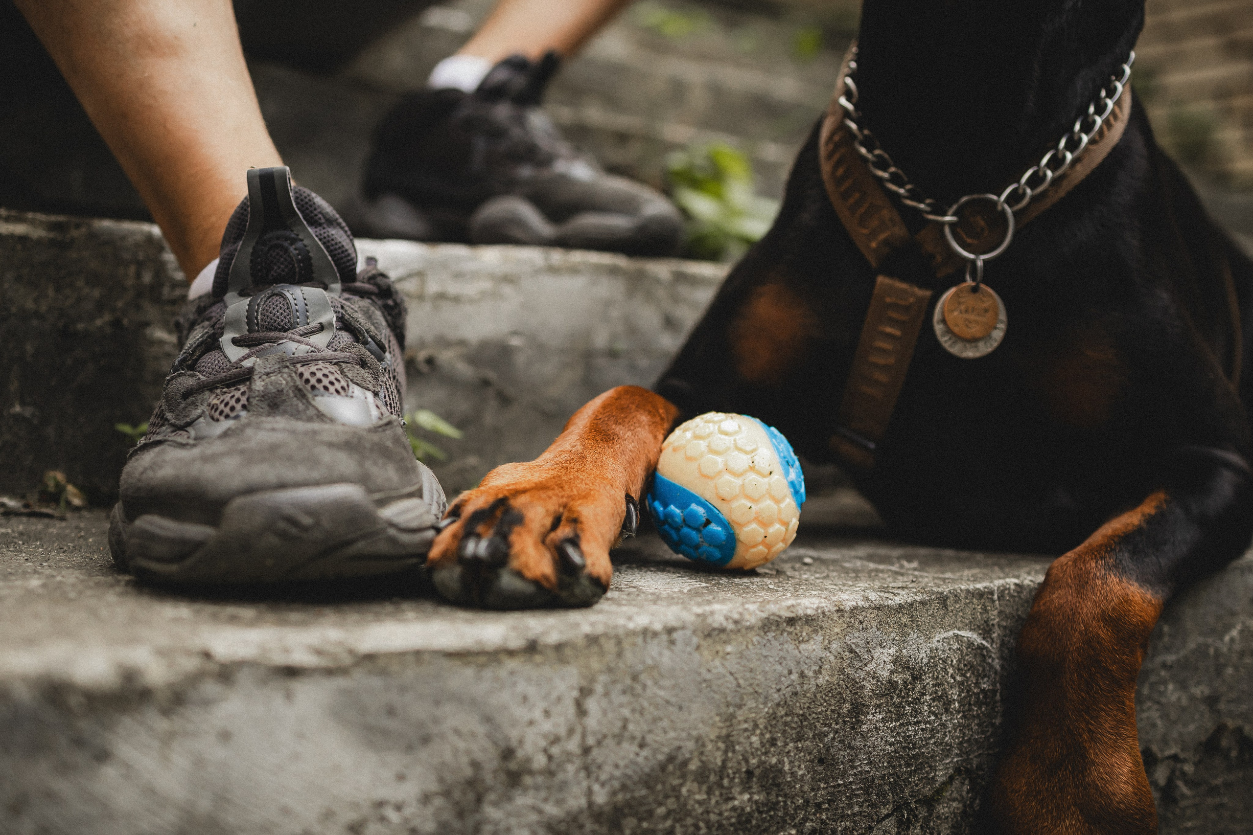 Паша, Хайди и Тея