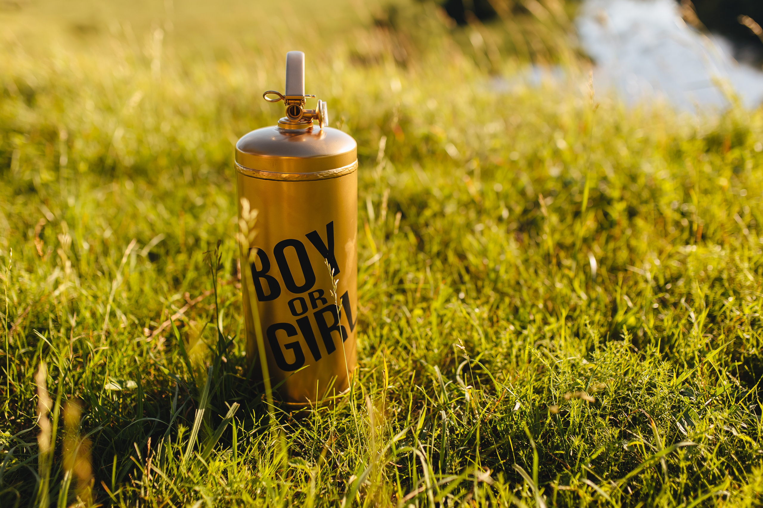 Дима и Софа. Свадебный и семейный фотограф в Туле и области Маша Костина