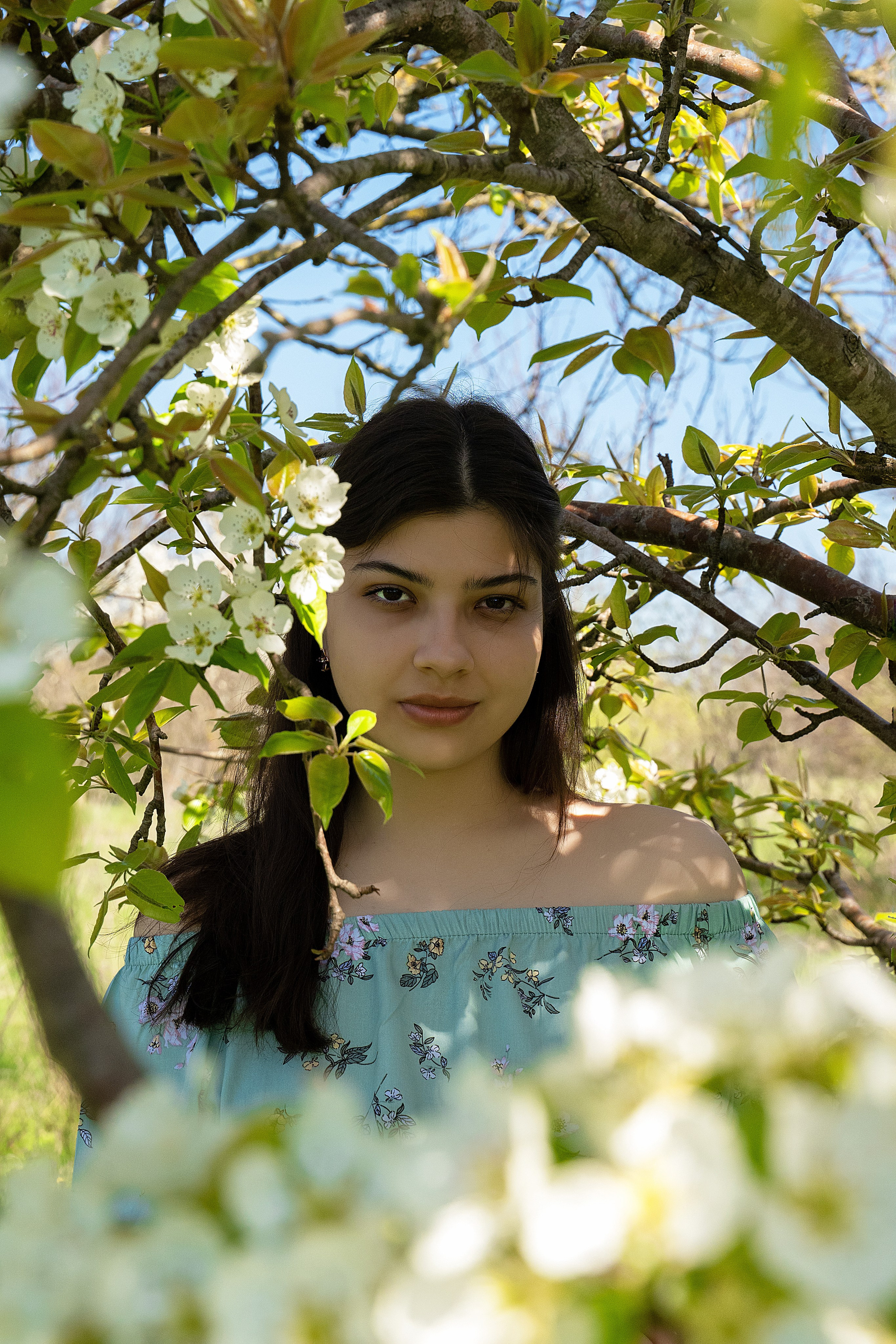 Смешанное цветение и зелень. Главная