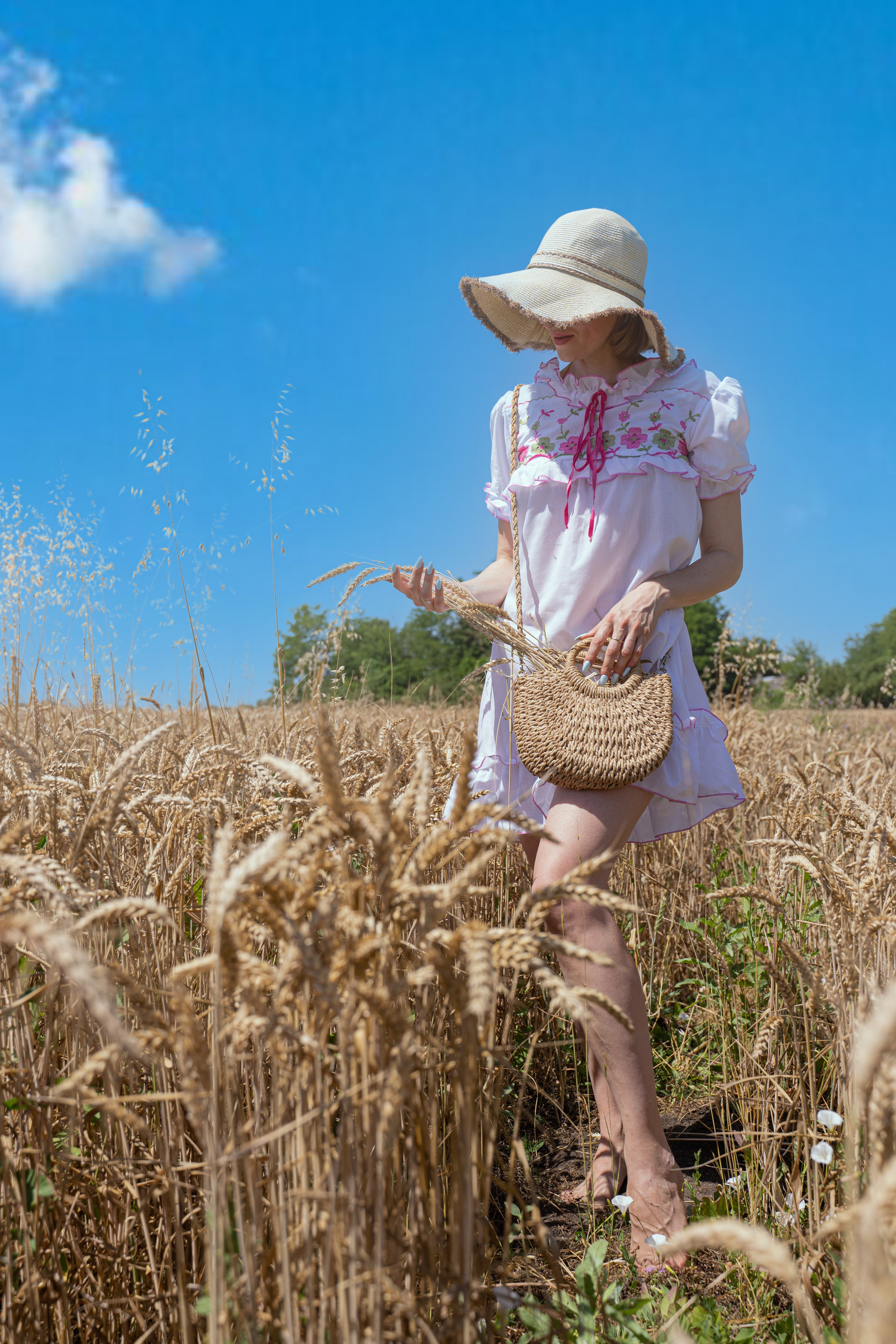 Пшеница и другие злаки. Главная