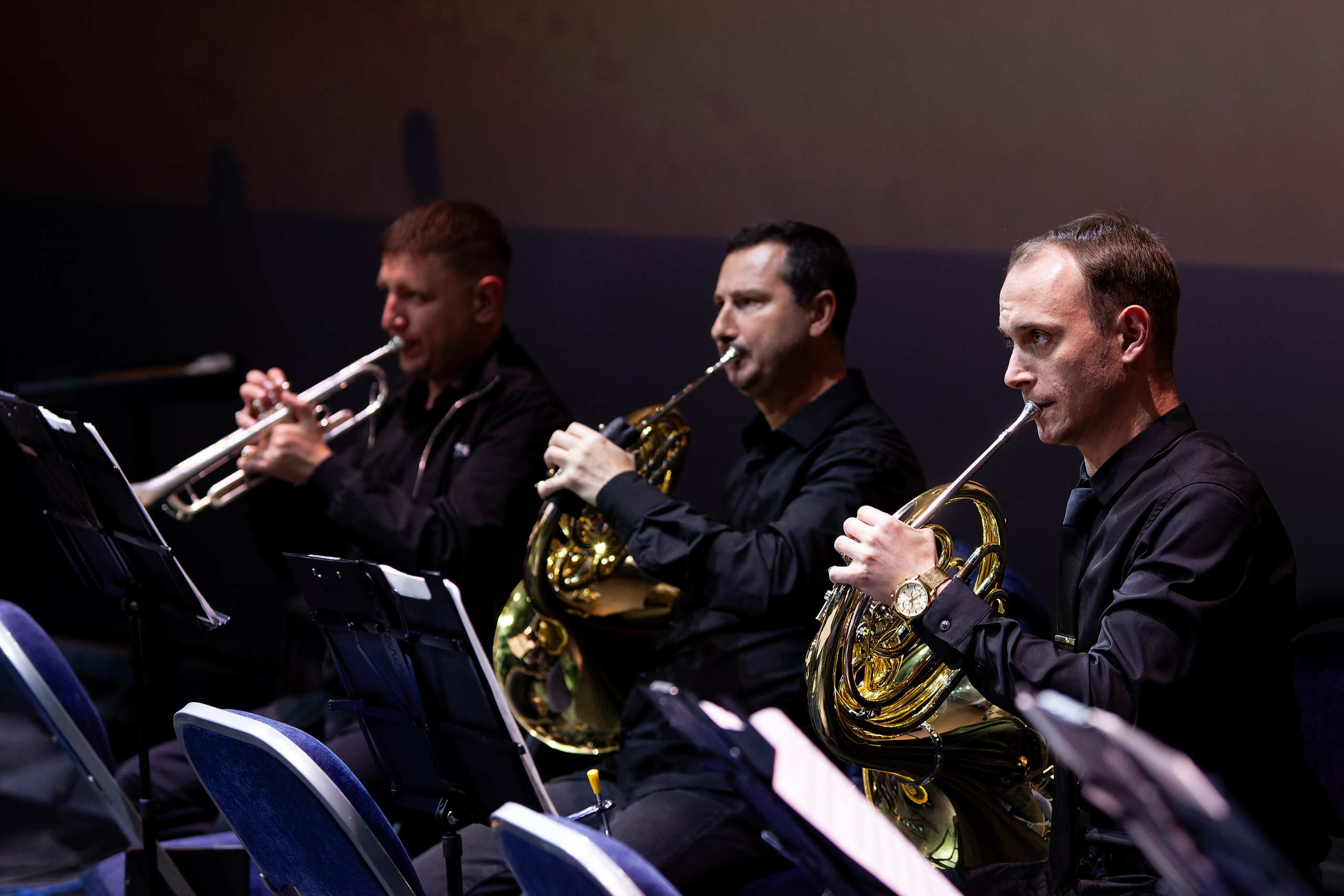 Концерт Южно-Сахалинского симфонического оркестра. Кутузов Евгений Фотограф в Южно-Сахалинске