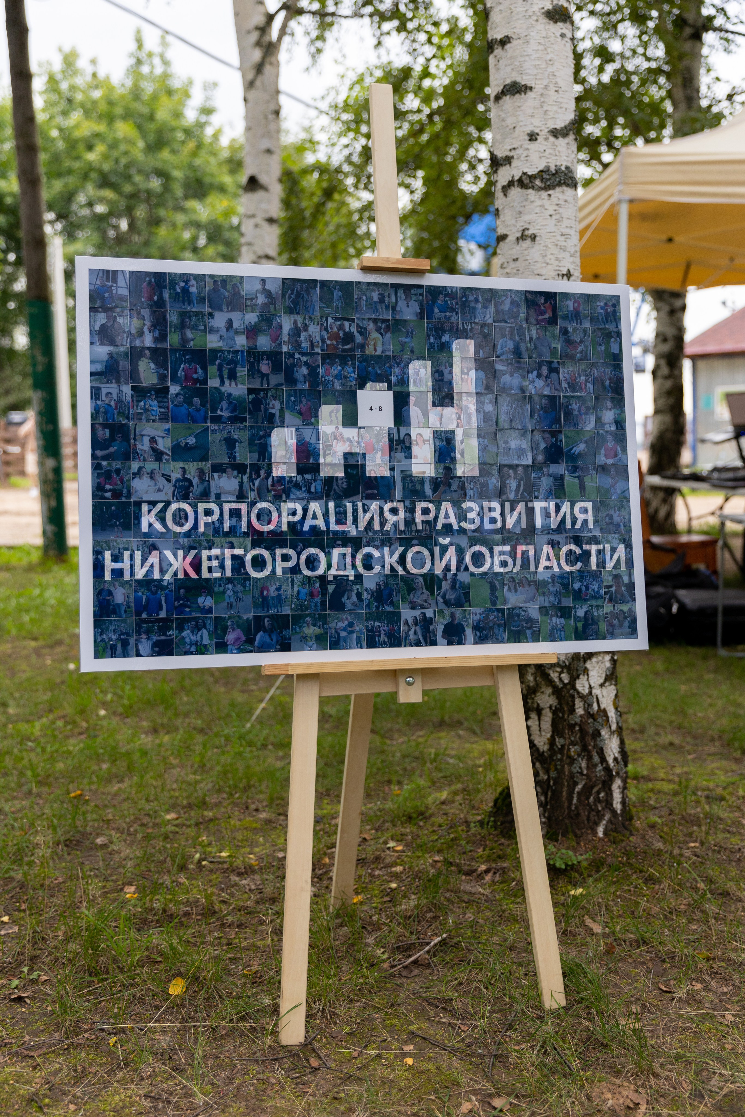 Фотомозайка. Инсталаб Нижний Новгород