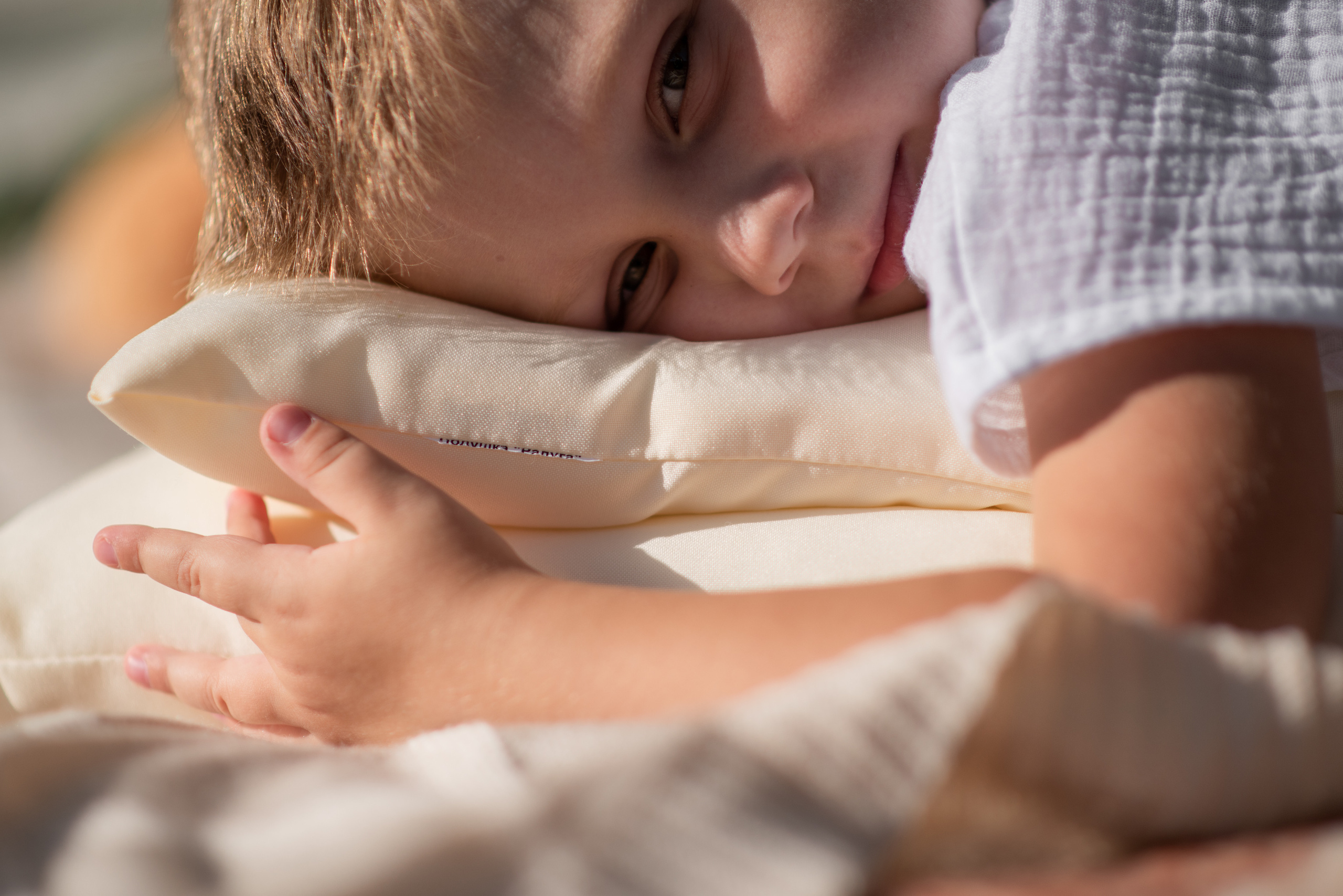 Прекрасный летний день. Свадебный и семейный фотограф в Ставрополе Евгения Кузьмичева