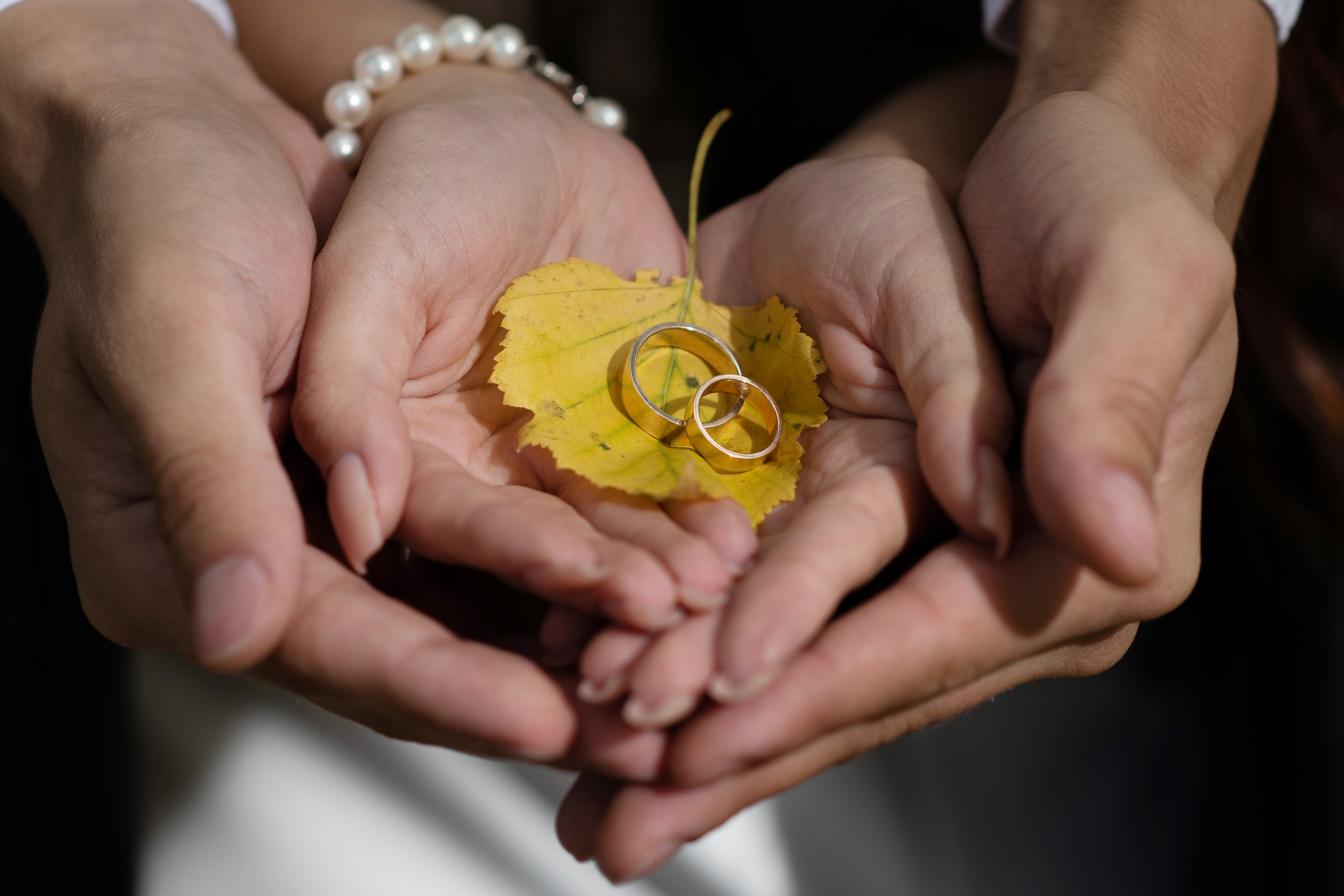 Яна и Евгений. Свадебный и семейный фотограф в Ставрополе Евгения Кузьмичева