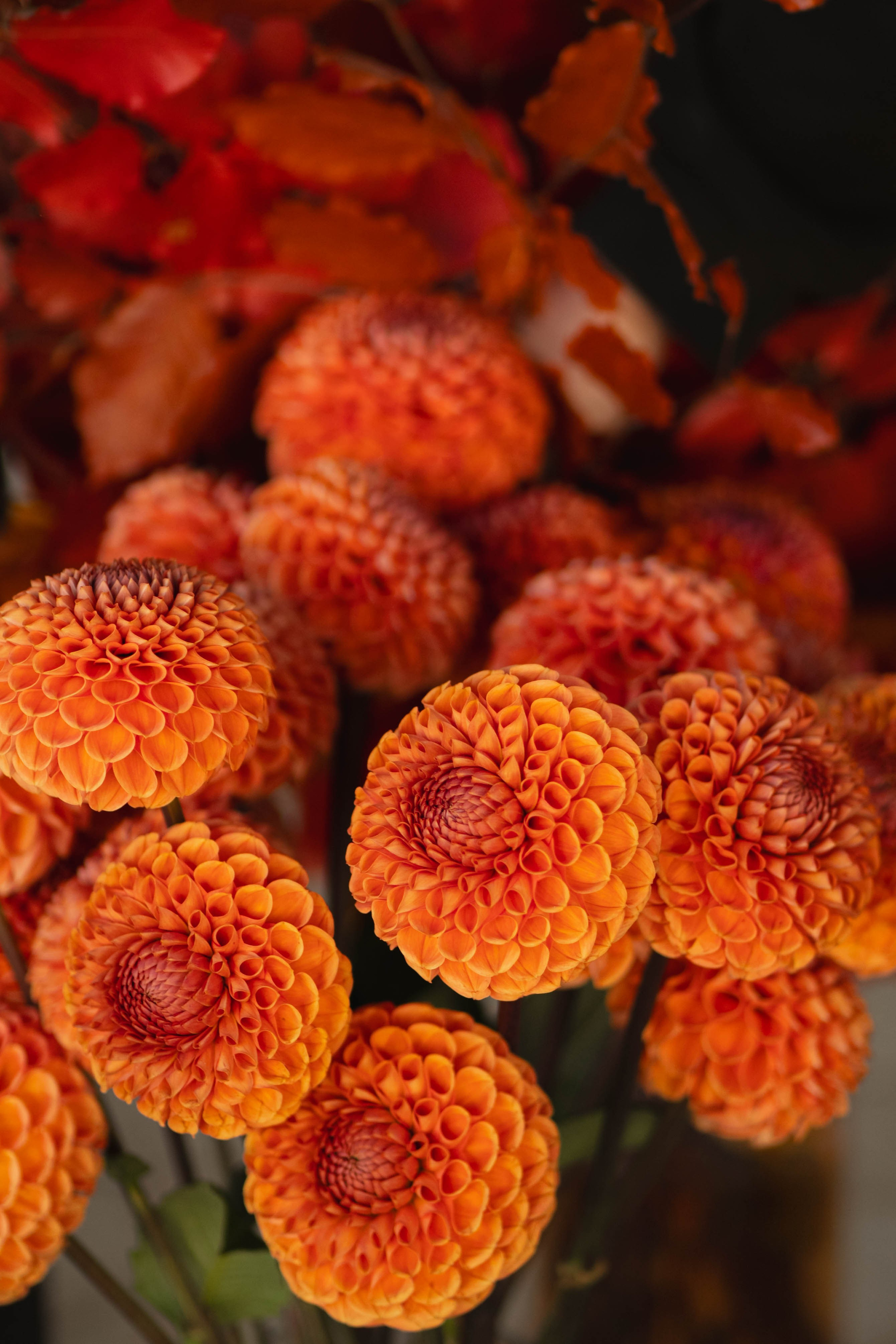 MIN SIN x Surf Coffee. Репортажный фотограф в Казани Виктория Трунова