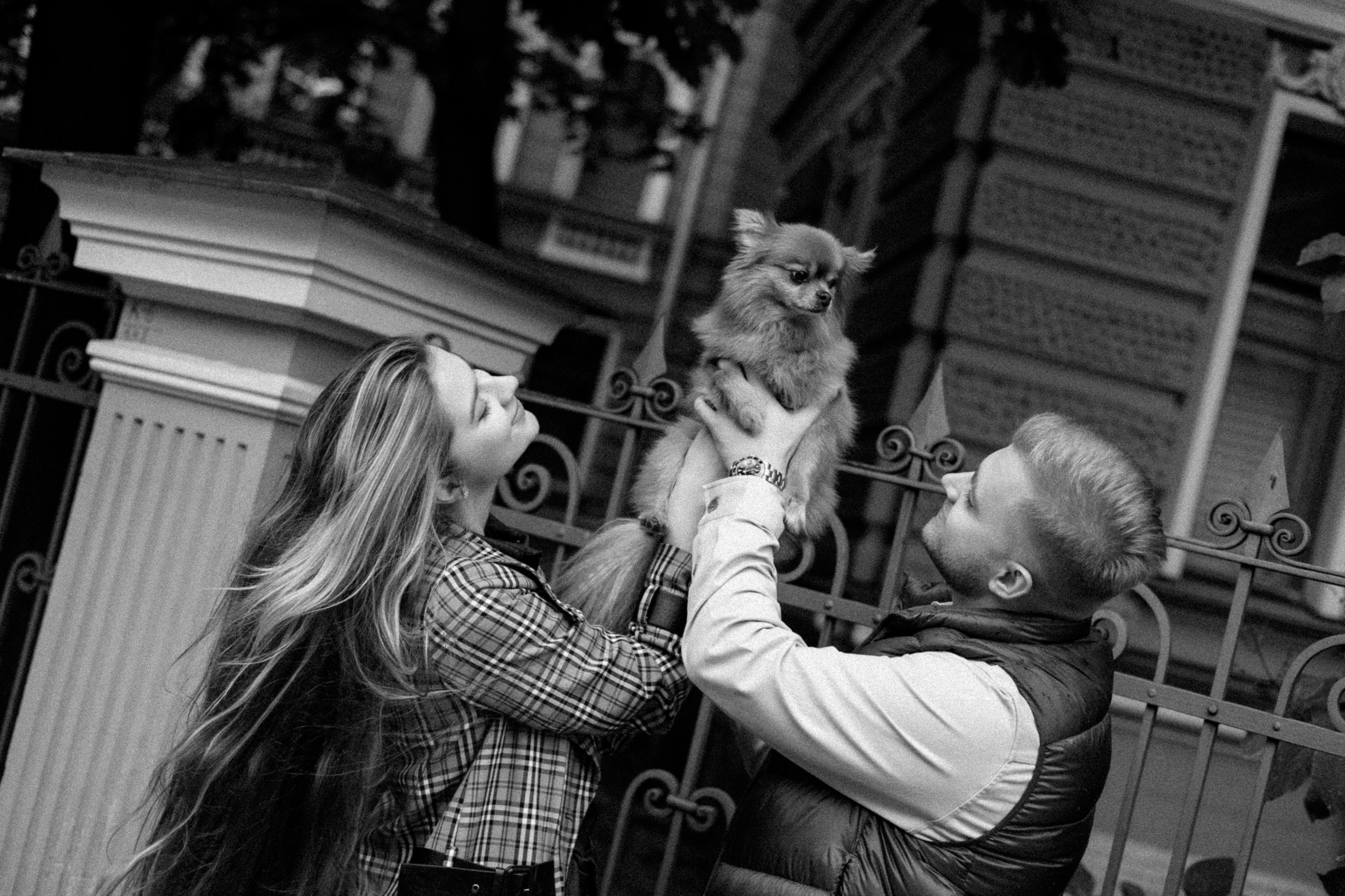 Свидание на Петроградке. Свадебный фотограф в Санкт-Петербурге Ксения Кобышева