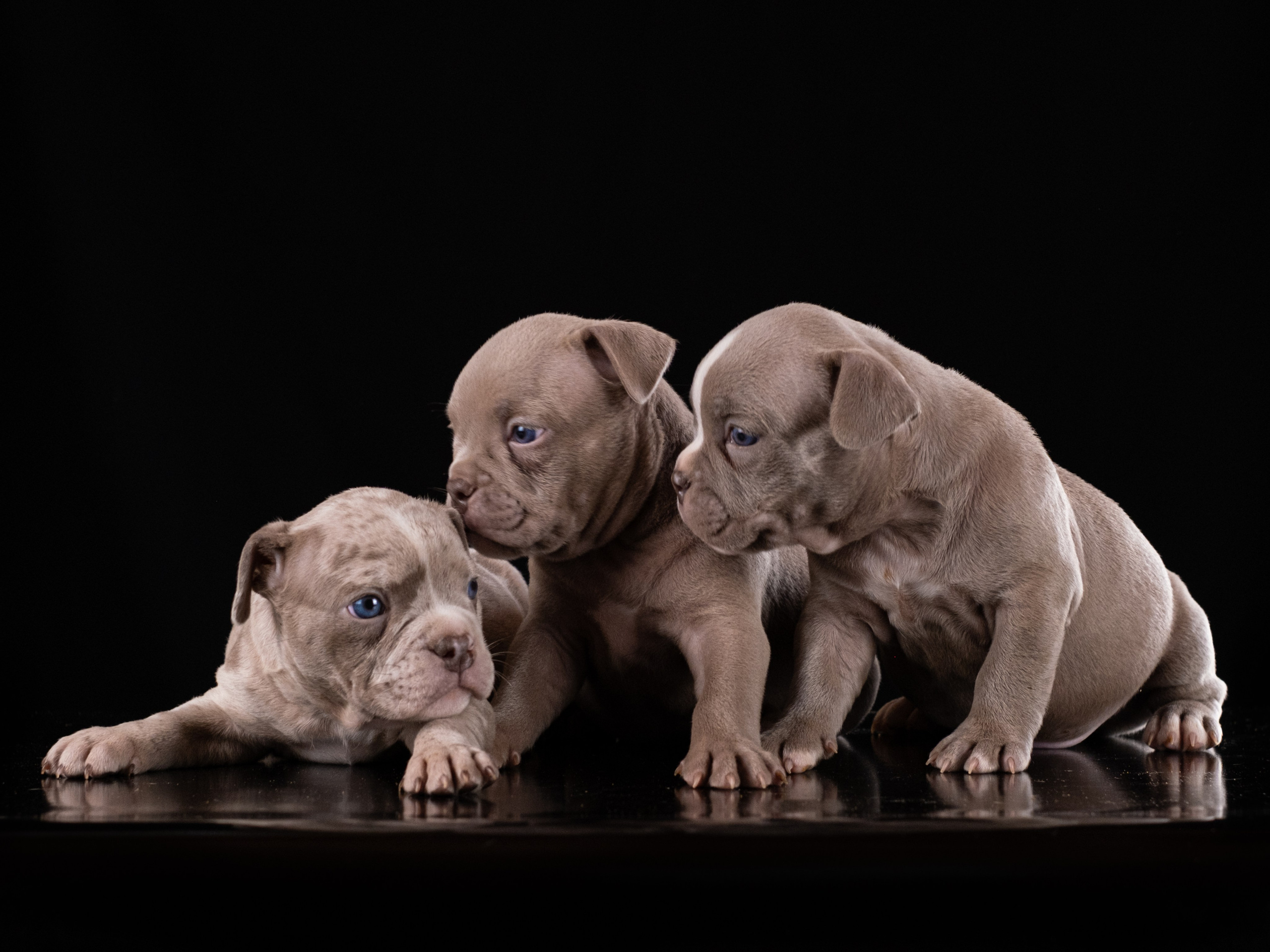 Амбулли для Ирины!