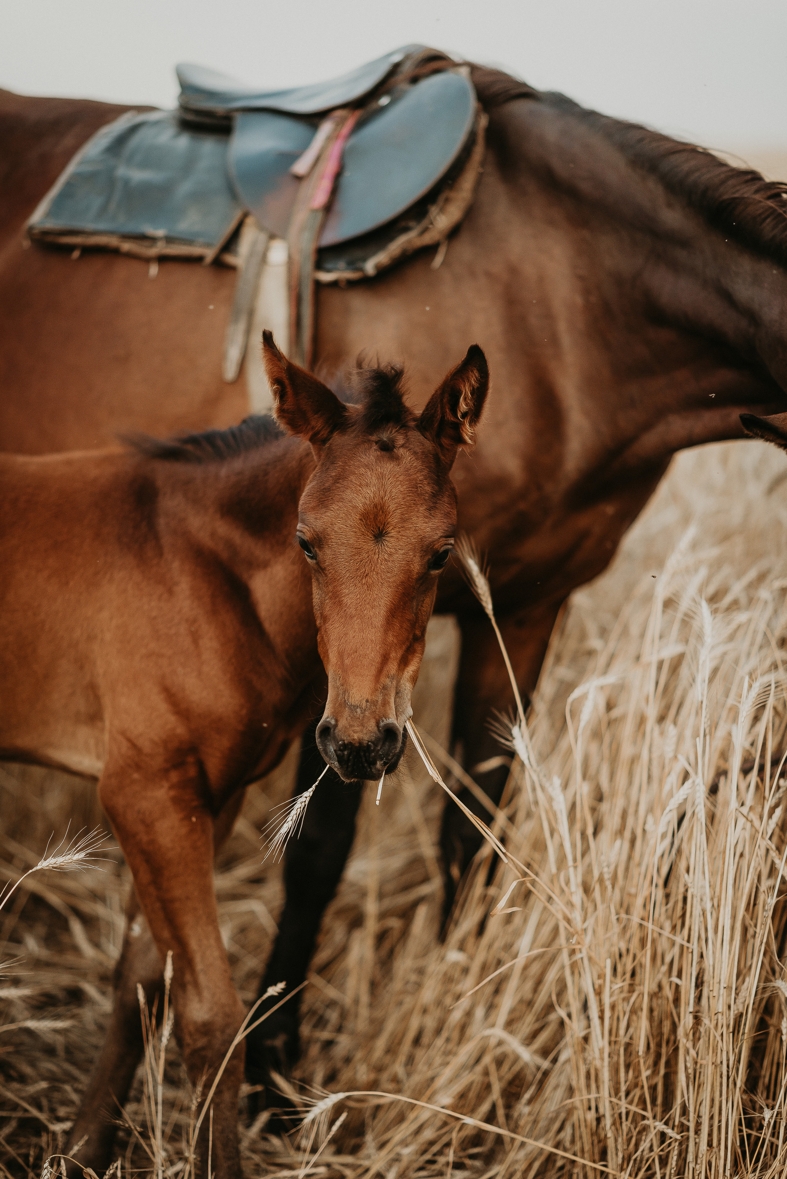 Olga. Фотограф Мария Хлебникова Санкт-Петербург Москва