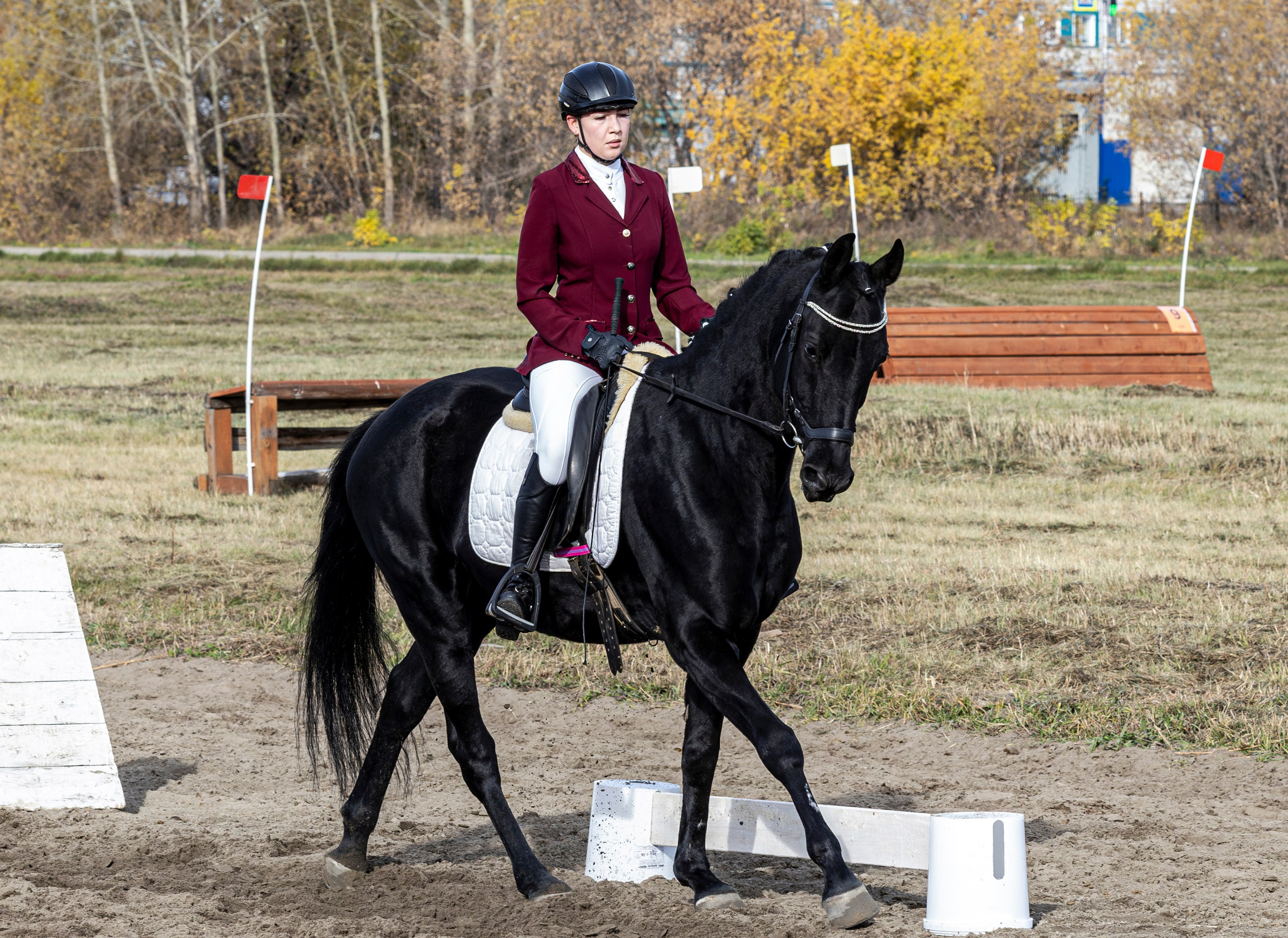 Конкур. Bertran Ordo